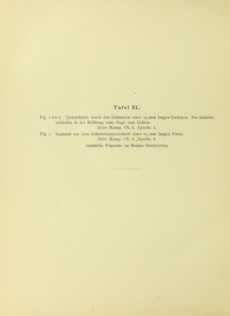Fig. i bis 6. Querschnitte durch den Sehnerven eines 19 mm langen Embryos. Die Schnitte verlaufen in der Richtung vom Auge zum Gehirn. Zeiss Komp. Ok. 6, Apochr. 8. Fig. 7. Segment aus dem Sehnervenquerschnitt eines 65 mm langen Fötus. Zeiss Komp. Ok. 8, Apochr. 8.