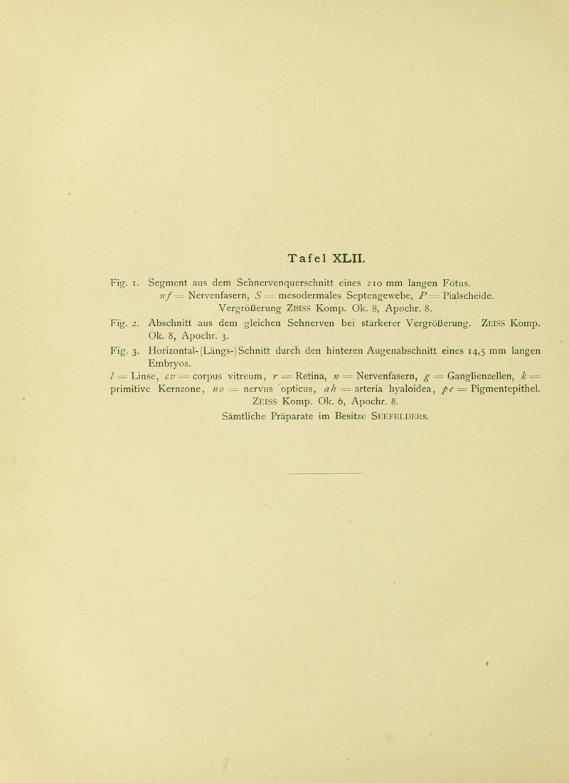 Fig. i. Segment aus dem Sehnervenquerschnitt eines 210 mm langen Fötus. 11 f = Nervenfasern, 5 = mesodermales Septengewebe, P= Piaischeide. Vergrößerung ZßlSS Komp. Ok. 8, Apochr. 8. Fig. 2. Abschnitt aus dem gleichen Sehnerven bei stärkerer Vergrößerung. Zeiss Komp. Ok. 8, Apochr. 3. Fig. 3. Horizontal-(Längs-) Schnitt durch den hinteren Augenabschnitt eines 14,5 mm langen Embryos. / = Linse, cv = corpus vitreum, r = Retina, u = Nervenfasern, g = Ganglienzellen, k = primitive Kernzone, 110 == nervus opticus, all — arteria hyaloidea, pe = Pigmentepithel. ZEISS Komp. Ok. 6, Apochr. 8.