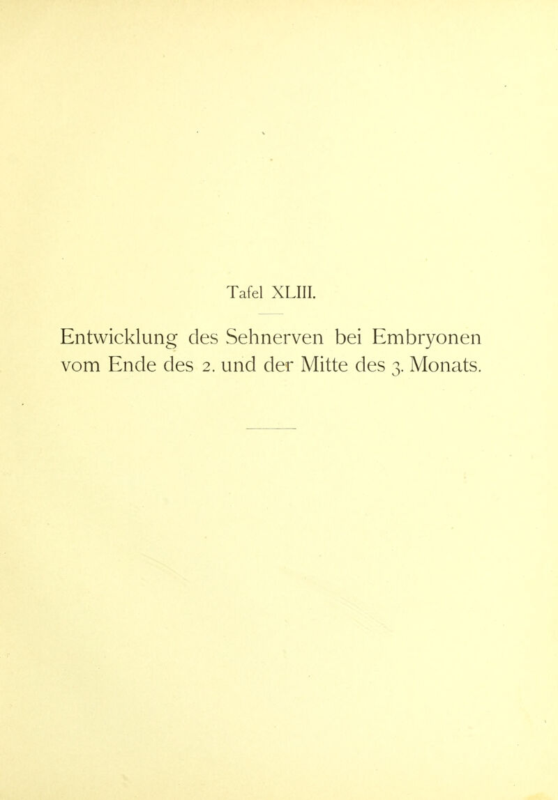 Entwicklung des Sehnerven bei Embryonen vom Ende des 2. und der Mitte des r Monats.