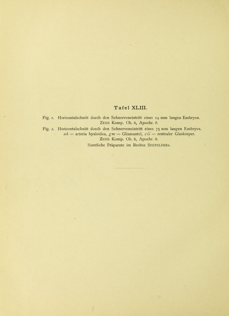 Fig. i. Horizontalschnitt durch den Sehnerveneintritt eines 19 mm langen Embryos. Zeiss Komp. Ok. 6, Apochr. 8. Fig. 2. Horizontalschnitt durch den Sehnerveneintritt eines 75 mm langen Embryos. ah = arteria hyaloidea, gm — Gliamantel, zG = zentraler Glaskörper. Zeiss Komp. Ok. 6, Apochr. 8.