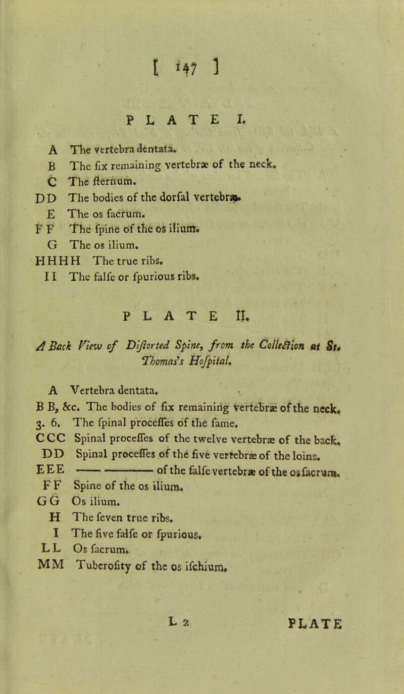 A The vertebra dentata. B The fix remaining vertebra of the neck, C The flernum. D D The bodies of the dorfal vertebra. E The os facrum. F F The fpine of the OS ilium. G The os ilium. HHHH The true ribs. 11 The falfe or fpurious ribs. PLATE II* d Back View of Dijiorted Spine, from the Collcftion at St, Thomas's Hofpiial, A Vertebra dentata. B B, &c. The bodies of fix remaining vertebrae of the neck. 3. 6. The fpinal procefles of the fame. C CC Spinal procefles of the twelve vertebras of the back, DD Spinal procefles of the five vertebrae of the loins. EEE of the falfe vertebra of the osfacnira. F F Spine of the os ilium. GG Os ilium. H The feven true ribs. I The five falfe or fpurious. L L Os facrum. MM Tuberofity of the os ifchium.