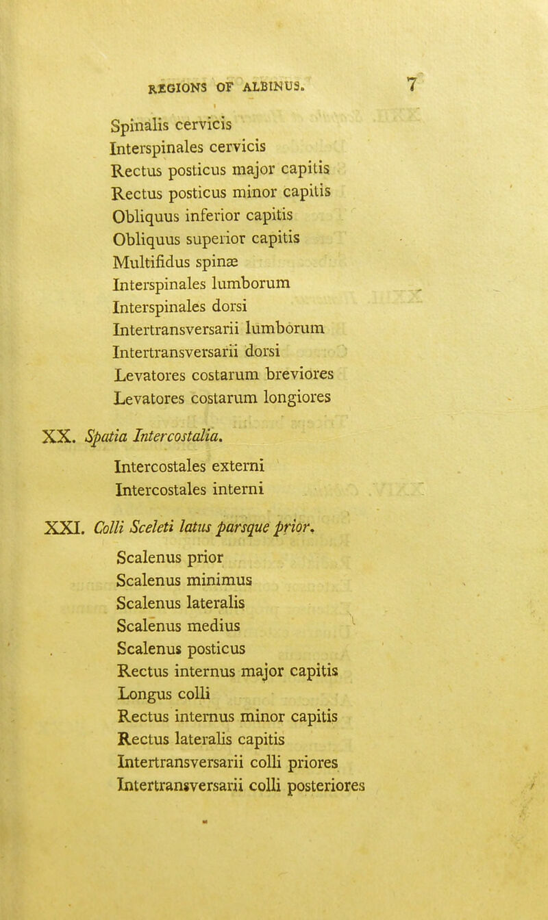 Spinalis cervicis Interspinales cervicis Rectus posticus major capitis • Rectus posticus minor capitis Obliquus inferior capitis Obliquus superior capitis Multifidus spinas Interspinales lumborum Interspinales dorsi Intertransversarii lumborum Intertransversarii dorsi Levatores costarum breviores Levatores costarum longiores XX. Spatia Intercostalia, Intercostales externi Intercostales interni XXI. Colli Sceleti latiis parsque priqr^ Scalenus prior Scalenus minimus Scalenus lateralis Scalenus medius Scalenus posticus Rectus internus major capitis Longus colli Rectus internus minor capitis Rectus lateralis capitis Intertransversarii colli priores Intertransversarii colli posteriores