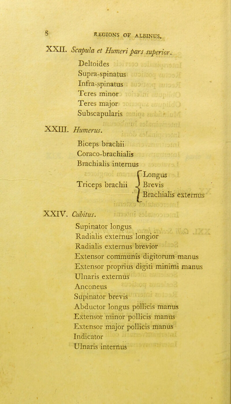 8- XXII. Scapula et Humeri pars superior. Deltoides Supra-spinatus Infra-spinatus Teres minor Teres major Subscapularis XXIII. Humerus. Biceps brachii Coraco-brachialis Brachialis internus r Longus Triceps brachii J Brevis J Brachialis extemus XXIV. Cubitus. Supinator longus Radialis extemus longior RadiaHs externus brevior Extensor communis digitomm man us Extensor proprius digiti minimi manus Uhiaris externus Anconeus Supinator brevis Abductor longus pollicis manus Extensor minor pollicis manus Extensor major pollicis manus Indicator Ulnaris internus