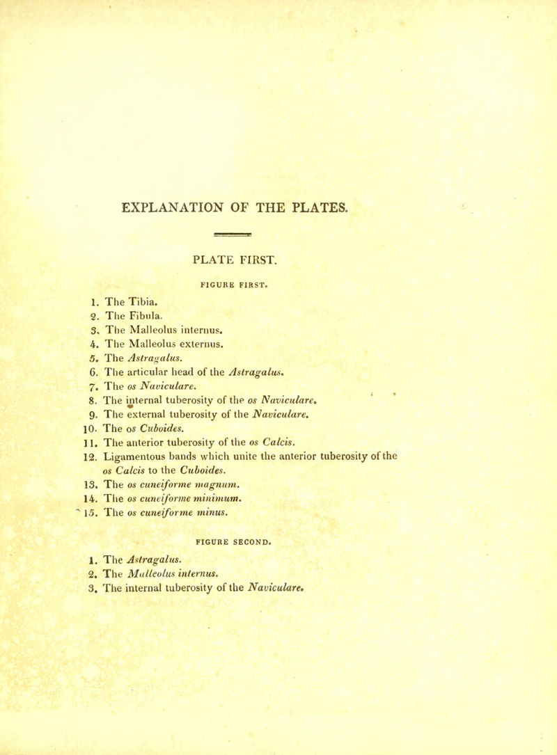 EXPLANATION OF THE PLATES. PLATE FIRST. FIGURE FIRST. 1. The Tibia. 2. The Fibula. 3. The Malleolus interims. 4. The Malleolus externus. 5. The Astragalus. 6. The articular head of the Astragalus, 7. The os Naviculare. 8. The internal tuberosity of the os Naviculars 9. The external tuberosity of the Naviculars 10. The os Cuboides. ] 1. The anterior tuberosity of the os Calcis. 12. Ligamentous bands which unite the anterior tuberosity of the os Calcis to the Cuboides. 13. The os cuneiforme magnum. 14. The os cuneiforme minimum. 15. The os cuneiforme minus. FIGURE SECOND. 1. The Astragalus. 2. The Malleolus interims. 3. The internal tuberosity of the Naviculars