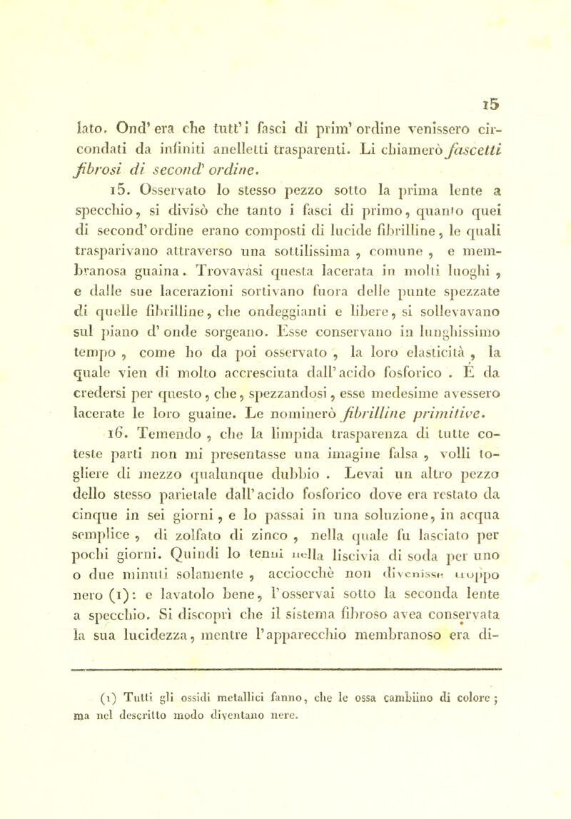 lato. Ond'era che tutt'l fasci di piim'ordine venissero cir- condati da infiniti anelletti trasparenti. Li chiamerò fascetti fibrosi di secondi ordine. 15. Osservato Io stesso pezzo sotto la prima lente a specchio, si divisò che tanto i fasci di primo, quanto quei di second'ordine erano composti di lucide fibrilline, le quali trasparivano attraverso una sottilissima , comune , e mem- branosa guaina. Trovavàsi questa lacerata in molli luoghi , e dalle sue lacerazioni sortivano fuora delle punte S2:)ezzate di quelle fibrilline, che ondeggianti e libere, si sollevavano sul piano d' onde sorgeano. Esse conservano in lunghissimo tempo , come ho da poi osservato , la loro elasticità , la quale vien di molto accresciuta dall' acido fosforico . E da credersi per questo, che, spezzandosi, esse medesime avessero lacerate le loro guaine. Le nominerò fibrilline primitive, 16. Temendo , che la limpida trasparenza di tutte co- teste parti non mi presentasse una imagine falsa , volli to- gliere di mezzo qualunque dubbio . Levai un altro pezzo dello stesso parietale dall'acido fosforico dove era restato da cinque in sei giorni, e Io passai in una soluzione, in acqua semplice , di zolfato di zinco , nella quale fu lasciato per pochi giorni. Quindi lo tenui nella liscivia di soda per uno o due minuti solamente , acciocché non divenissn iiuj)po nero (i) : e lavatolo bene, l'osservai sotto la seconda lente a specchio. Si discoprì che il sistema fibroso avea conservata la sua lucidezza, mentre l'apparecchio membranoso era di- (i) TuUi gli ossidi metallici fanno, che le ossa caniLiino di colore 5 ma nel descritto modo diventano nei'e.