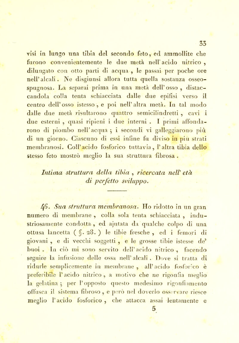 Tisi in lungo una tibia del secondo feto, ed ammollite che furono convenientemente le due metà nell'acido nitrico, dilungato con otto parti di acqua , le passai per poche ore nell'alcali. Ne disgiunsi allora tutta quella sostanza osseo- spugnosa. La separai prima in una metà dell'osso, distac- candola colla tenta schiacciata dalle due epifisi verso il centro dell'osso istesso , e poi nell'altra metà. In tal modo dalle due metà risultarono quattro semicilindretti , cavi i due esterni , quasi ripieni i due interni . I primi affonda- rono di piombo nell'acqua ^ i secondi vi galleggiarono più di un giorno. Ciascuno di essi infine fu diviso in più strati membranosi. Colf acido fosforico tuttavia, l'altra tibia dello stesso feto mostrò meglio la sua struttura fibrosa . Intima struttura della tibia , ricercata nell età . di perfetto sviluppo. - . 46». Sua struttura memhranosa. Ho ridotto in un gran numero di membrane , colla sola tenta schiacciata , indu- striosamente condotta , ed ajutata da qualche colpo di una ottusa lancetta ( 28. ) le tibie fresche , ed i femori di giovani , e di vecchi soggetti , e le grosse tibie istesse de' buoi . In ciò mi sono servito dell'arido nitrico, facendo seguire la infusione delle ossa nell'alcali. Dove si tratta di ridurle semplicemente in membrane, all'acido fusfor'co è preferibile l'acido nitrico, a motivo che ne rigonfia meglio la gelatina ^ per l'opposto questo medesimo rigonfiamento offusca il sistema fibroso , e però nel doverlo oss rvare riesce meglio l'acido fosforico , che attacca assai lentamente e 5