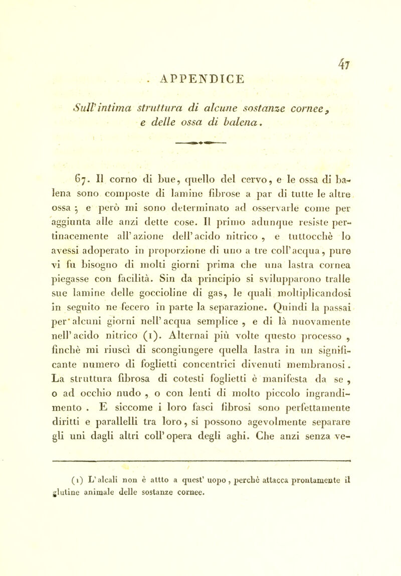 . . APPENDICE SulVintima struttura di alcune sostanze cornee, e delle ossa di balena. 67. Il corno di bue, quello del cervo, e le ossa di ba- lena sono composte di lamine fibrose a par di tutte le altre ossa ^ e però mi sono determinato ad osservarle come per aggiunta alle anzi dette cose. Il primo adunque resiste per- tinacemente all'azione dell'acido nitrico , e tuttocchè lo avessi adoperato in proporzione di uno a tre coli'acqua, pure vi fu bisogno di molti giorni prima che una lastra cornea piegasse con facilità. Sin da principio si svilupparono traile sue lamine delle goccioline di gas, le quali moltiplicandosi in seguito ne fecero in parte la separazione. Quindi la passai per'alcuni giorni nell'acqua semplice, e di là nuovamente nell'acido nitrico (i). Alternai più volte questo processo , finché mi riuscì di scongiungere quella lastra in un signifi- cante numero di foglietti concentrici divenuti membranosi. La struttura fibrosa di cotesti foglietti è manifesta da se , o ad occhio nudo , o con lenti di molto piccolo ingrandi- mento . E siccome i loro fasci fibrosi sono perfettamente diritti e parallelli tra loro, si possono agevolmente separare gli uni dagli altri coli'opera degli aghi. Che anzi senza ve- (1) L'alcali non è altto a quest'uopo, perchè attacca prontamente il glutine animale delle sostanze cornee.