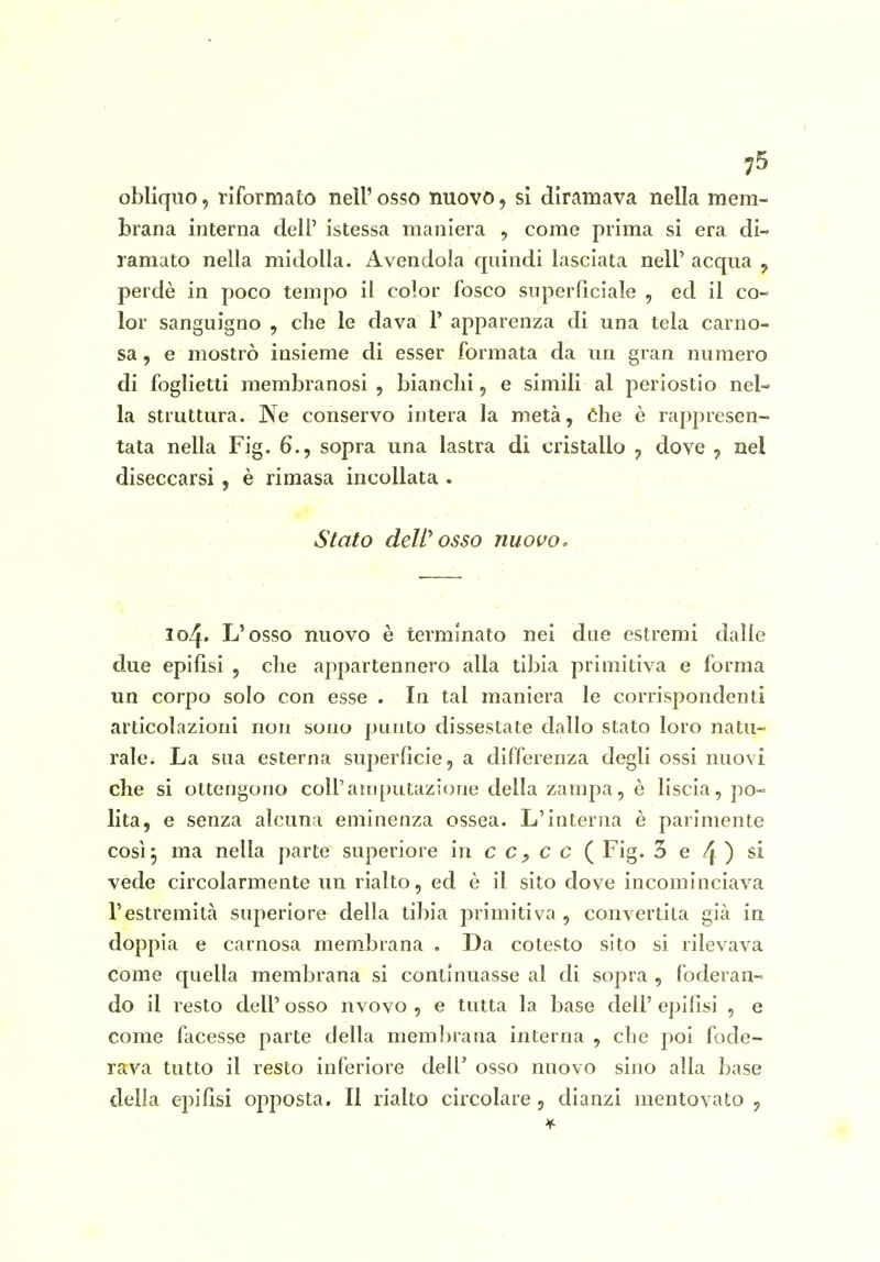 obliquo, riformato nell' osso nuovo, sì diramava nella mem- brana interna dell' istessa maniera , come prima si era di- ramato nella midolla. Avendola quindi lasciata nelP acqua y perdè in poco tempo il color fosco superficiale , ed il co- lor sanguigno , che le dava P apparenza di una tela carno- sa, e mostrò insieme di esser formata da un gran numero di foglietti membranosi , bianchi, e simili al periostio nel- la struttura. Ne conservo intera la metà, 6he è rappresen- tata nella Fig. 6., sopra una lastra di cristallo , dove ^ nel diseccarsi , è rimasa incollata . Stato deW osso nuovo ^ - 104. L'osso nuovo è terminato nei due estremi dalle due epifisi , che appartennero alla tibia primitiva e forma un corpo solo con esse . In tal maniera le corrispondenti articolazioni non sono punto dissestate dallo stato loro natu- rale. La sua esterna superficie, a differenza degli ossi nuovi che si ottengono colPaniputazione della zampa, è liscia, po- lita, e senza alcuna eminenza ossea. L'interna è parimente così^ ma nella parte superiore in c c, c c ( Fig. 3 e 4 ) si vede circolarmente un rialto, ed è il sito dove incominciava l'estremità superiore della tibia primitiva , convertita già in doppia e carnosa membrana . Da cotesto sito si rilevava come quella membrana si continuasse al di sopra , foderan- do il resto dell' osso nvovo , e tutta la base dell' epifisi , e come facesse parte della membrana interna , che poi fode- rava tutto il resto inferiore dell' osso nuovo sino alla base della epifisi opposta. Il rialto circolare, dianzi mentovato ,