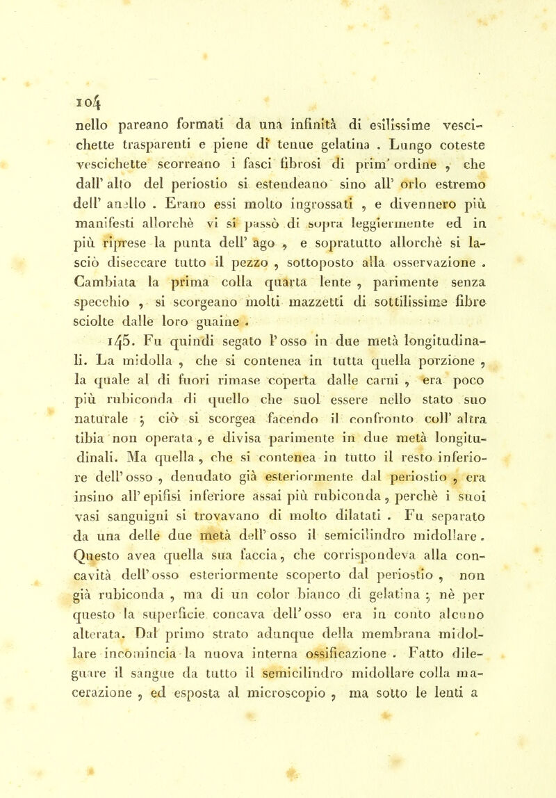 io4 nello pareano formati da una infinità di esilissime vesci- chette trasparenti e piene di tenue gelatina . Lungo coleste vescichette scorreano i fasci fibrosi di prim' ordine , che dall'alto del periostio si estendeano sino all' orlo estremo dell' anallo . Erano essi molto ingrossati , e divennero più manifesti allorché vi si passò di bupra leggiermente ed in più riprese la punta dell' ago , e sopratutto allorché si la- sciò diseccare tutto il pezzo , sottoposto alla osservazione . Cambiata la prima colla quarta lente , parimente senza specchio , si scorgeano molti mazzetti di sottilissima fibre sciolte dalle loro guaine . 145. Fu quindi segato l'osso in due metà longitudina- li. La midolla , che si contenea in tutta quella porzione , la quale al di fuori rimase coperta dalle carni , era poco più rubiconda di quello che suol essere nello stato suo naturale , ciò si scorgea facendo il confronto colf altra tibia non operatale divisa parimente in due metà longitu- dinali. Ma quella, che si contenea in tutto il resto inferio- re dell'osso , denudato già esteriormente dal periostio , era insino all'epifisi inferiore assai più rubiconda , perchè i suoi vasi sanguigni si trovavano di molto dilatati . Fu separato da una delle due metà dell' osso il semicilindro midollare . Questo avea quella sua faccia, che corrispondeva alla con- cavità dell'osso esteriormente scoperto dal periostio , non già rubiconda , ma di un color bianco di gelatina ^ né per questo la superficie concava dell'osso era in conto alcmio alterata. Dal primo strato adunque della membrana midol- lare incomincia la nuova interna ossificazione . Fatto dile- guare il sangue da tutto il semicilindro midollare colla ma- cerazione 5 ed esposta al microscopio , ma sotto le lenti a