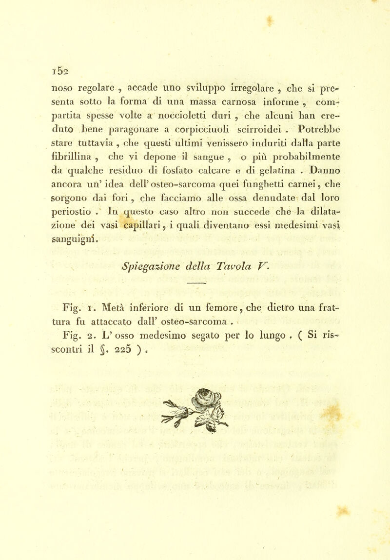 ■f l52 noso regolare , accade uno sviluppo Irregolare , che si pre- senta sotto la forma di una massa carnosa informe , com-* partita spesse volte a noccioletti duri , che alcuni han cre- duto Lene paragonare a corpicciuoli scirroidei . Potrebbe stare tuttavia , che questi ultimi venissero induriti dalla parte fibrillina , che vi depone il sangue , o più probabilmente da qualche residuo di fosfato calcare e di gelatina . Danno ancora un' idea dell'osteo-sarcoma quei funghetti carnei, che sorgono dai fori, che facciamo alle ossa denudate dal loro periostio . lu questo caso altro non succede che la dilata- zione dei vasi capillari, i quali diventano essi medesimi vasi sanguigni. Spiegazione della Tavola V. Fig. I. Metà inferiore di un femore, che dietro una frat- tura fu attaccato dall' osteo-sarcoma . Fig. 2. L'osso medesimo segato per lo lungo . ( Si ris- scontri il §. 225 ) ,