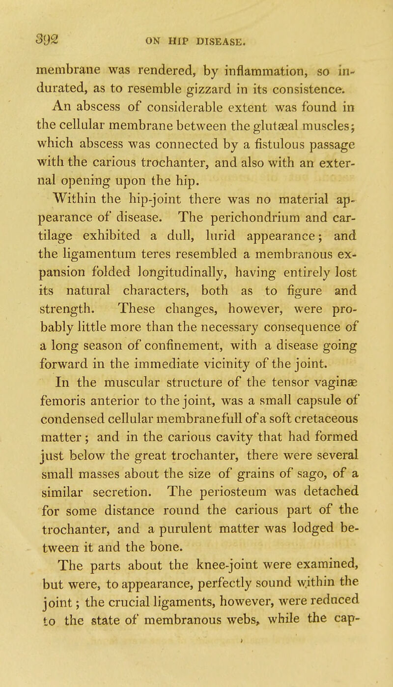 membrane was rendered, by inflammation, so in- durated, as to resemble gizzard in its consistence. An abscess of considerable extent was found in the cellular membrane between the glutaeal muscles; which abscess was connected by a fistulous passage with the carious trochanter, and also with an exter- nal opening upon the hip. Within the hip-joint there was no material ap- pearance of disease. The perichondrium and car- tilage exhibited a dull, lurid appearance; and the ligamentum teres resembled a membranous ex- pansion folded longitudinally, having entirely lost its natural characters, both as to figure and strength. These changes, however, were pro- bably little more than the necessary consequence of a long season of confinement, with a disease going forward in the immediate vicinity of the joint. In the muscular structure of the tensor vaginae femoris anterior to the joint, was a small capsule of condensed cellular membrane full of a soft cretaceous matter; and in the carious cavity that had formed just below the great trochanter, there were several small masses about the size of grains of sago, of a similar secretion. The periosteum was detached for some distance round the carious part of the • trochanter, and a purulent matter was lodged be- tween it and the bone. The parts about the knee-joint were examined, but were, to appearance, perfectly sound within the joint; the crucial ligaments, however, were reduced to the state of membranous webs, while the cap-