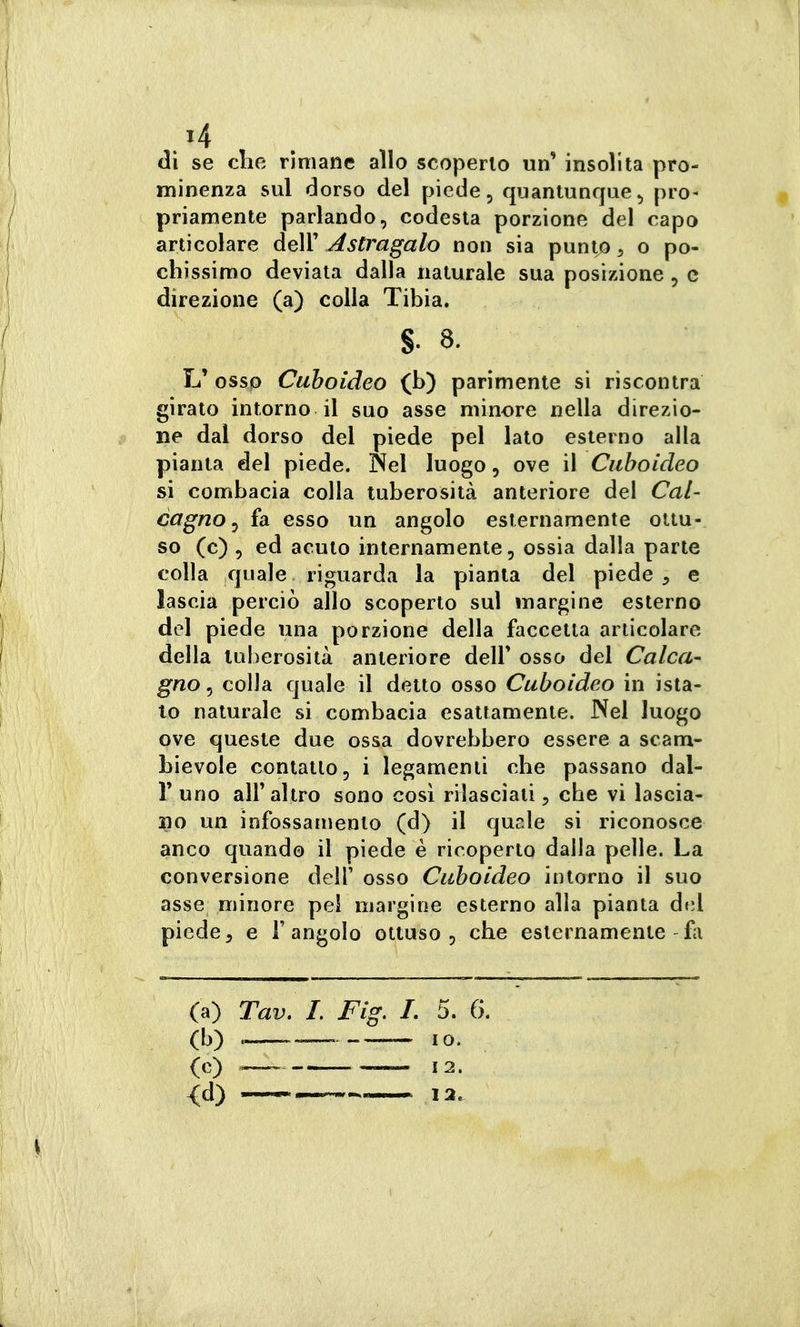.'4 (li se che rimane allo scoperto un' insolita pro- minenza sul dorso del piede, quantunque^ pro- priamente parlando, codesta porzione del capo articolare dell' Astragalo non sia punt;3 ^ o po- chissimo deviata dalla naturale sua posizione , e direzione (a) colla Tibia, S- 8. L' osso Cuboideo (b) parimente si riscontra girato intorno il suo asse minore nella direzio- ne dal dorso del piede pel lato esterno alla pianta del piede. Nel luogo, ove il Cuboideo si combacia colla tuberosità anteriore del Cal- cagno ^ fa esso un angolo esternamente ottu- so (c) , ed acuto internamente, ossia dalla parte colla quale riguarda la pianta del piede , e lascia perciò allo scoperto sul margine esterno del piede una porzione della faccetta articolare della tuberosità anteriore delF osso del Calca- gno 5 colla quale il detto osso Cuboideo in ista- to naturale si combacia esaltamente. Nel luogo ove queste due ossa dovrebbero essere a scam- bievole contatto, i legamenti che passano dal- l'uno all'altro sono così rilasciati, che vi lascia- no un infossamento (d) il qusle si riconosce anco quando il piede è ricoperto dalla pelle. La conversione dell' osso Cuboideo intorno il suo asse minore pel margine esterno alla pianta del piede, e l'angolo ottuso, che esternamente fa (a) Tav. 1. Fig. L 5. 6. (b) . ,0.