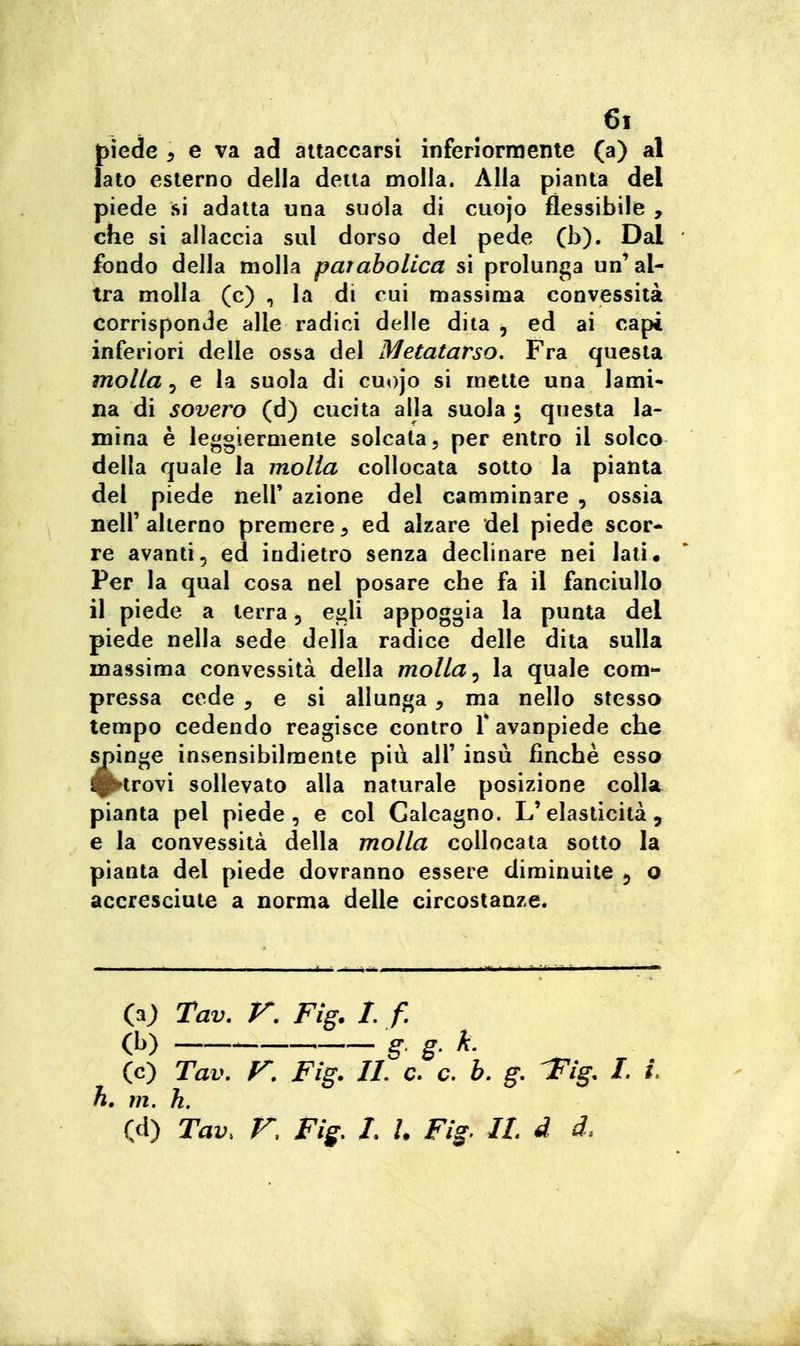 piede 5 e va ad attaccarsi inferiormente (a) al lato esterno della detta molla. Alla pianta del piede si adatta una suola di cuojo flessibile , che si allaccia sul dorso del pede (b). Dal fondo della molla pataboUca si prolunga un'al- tra molla (c) , la di cui massima convessità corrisponde alle radici delle dita , ed ai capi inferiori delle ossa del Metatarso. Fra questa molla 5 e la suola di cuojo si mette una lami- na di sovero (d) cucita alla suola 5 questa la- mina è leggiermente solcata, per entro il solco della quale la molla collocata sotto la pianta del piede nelF azione del camminare , ossia neir alterno premere 5 ed alzare del piede scor- re avanti, ed indietro senza declinare nei lati. Per la qual cosa nel posare che fa il fanciullo il piede a terra 5 e^li appoggia la punta del piede nella sede della radice delle dita sulla massima convessità della molla ^ la quale com- pressa cede 5 e si allunga, ma nello stesso tempo cedendo reagisce contro Y avanpiede che spinge insensibilmente più all' insù finche essa ^trovi sollevato alla naturale posizione colla, pianta pel piede, e col Calcagno. L'elasticità, e la convessità della molla collocata sotto la pianta del piede dovranno essere diminuite 5 o accresciute a norma delle circostanze. (aj) Tav, V. Fig. 1. f. (b) g. g. k. (c) Tav. r. Fig. IL c. c. b. g. IFig, I. L h, m. h. (d) Tav. F, Fig. I. l. Fig. IL d