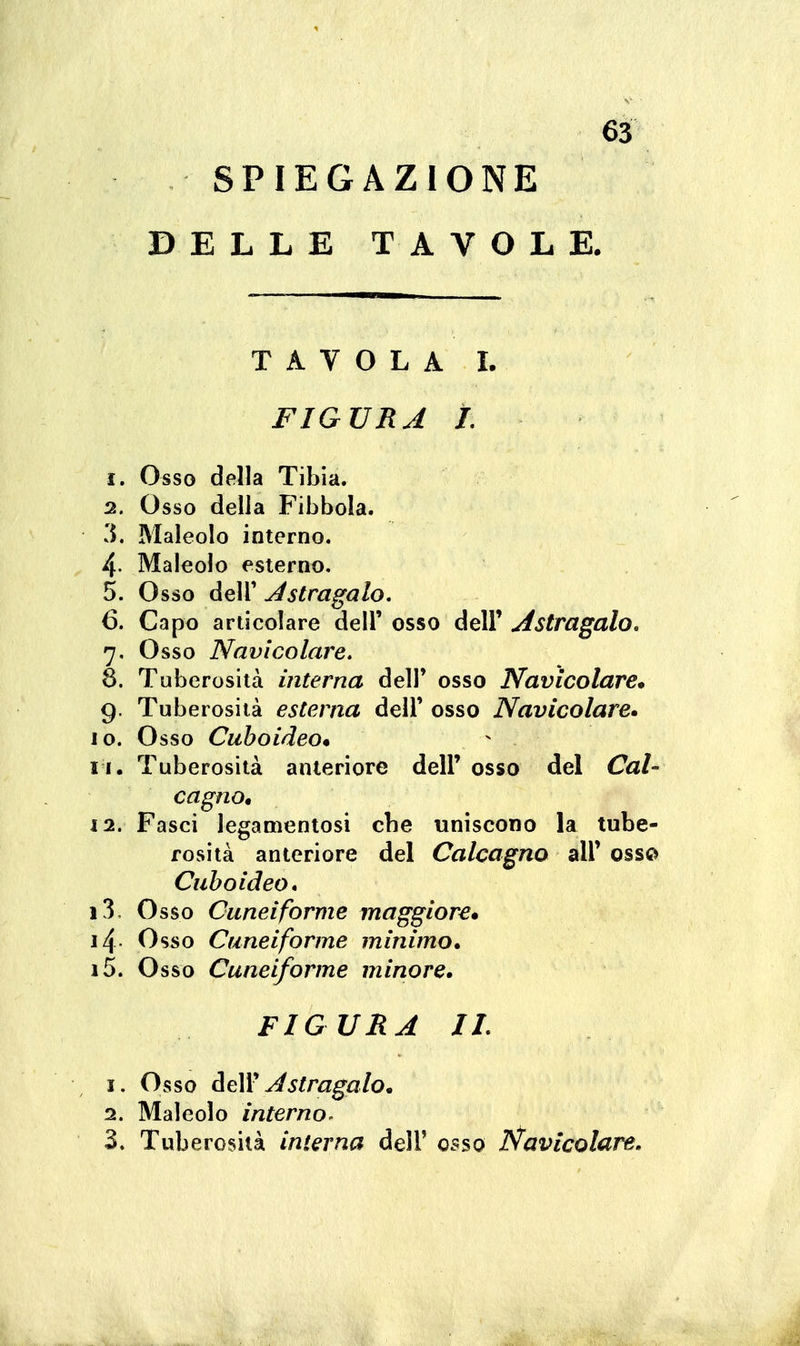 SPIEGAZIONE DELLE TAVOLE. TAVOLA I. FIGURA I. 1. Osso della Tibia. 2. Osso della Fibbola. 3. Maleolo interno. 4- Maleolo esterno. 5. Osso deir Astragalo, 6. Capo articolare dell' osso dell' Astragalo, 7. Osso Navìcolare. 8. Tuberosità interna dell' osso Navìcolare* 9. Tuberosità esterna dell' osso Navìcolare» 10. Osso Cuboìdeo» 11. Tuberosità anteriore dell' osso del Cal- cagno, 12. Fasci legameniosi che uniscono la tube- rosità anteriore del Calcagno all' osso Cuboìdeo* 13. Osso Cuneiforme maggiore» i4- Osso Cuneiforme minimo, i5. Osso Cuneiforme minore, FIGURA IL I. Osso àeWAstragalo, 1, Maleolo interno. 3. Tuberosità interna dell' o5so Navìcolare.