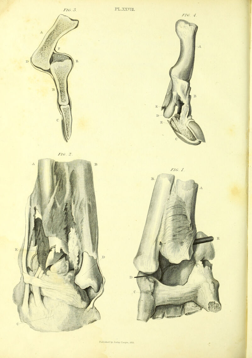 FIG. 3. JPL.XOTI.