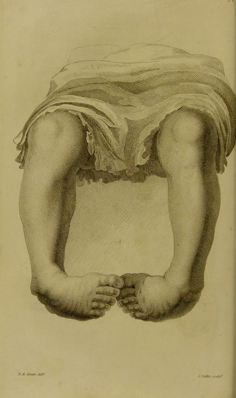 ^.Hcihn sculp:
