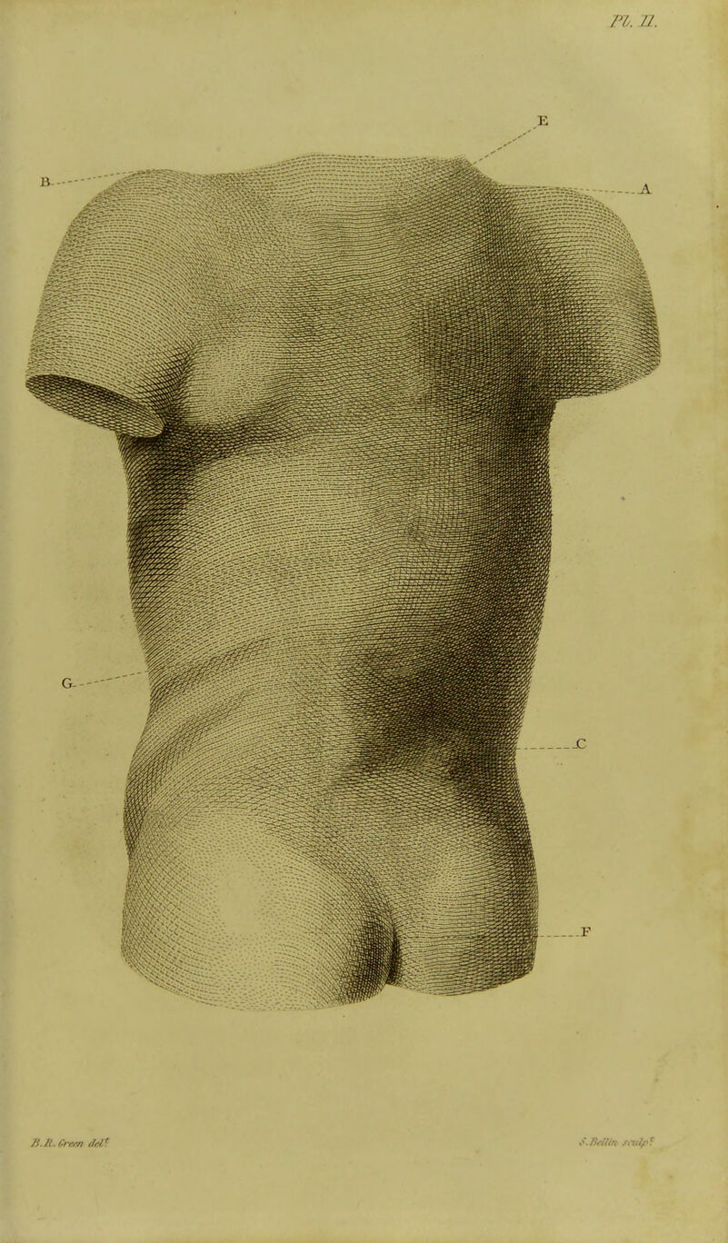 /l.R.Cref/i del* ,<.7}fllm sculpt