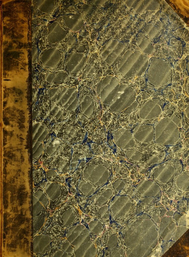 No text description is available for this image