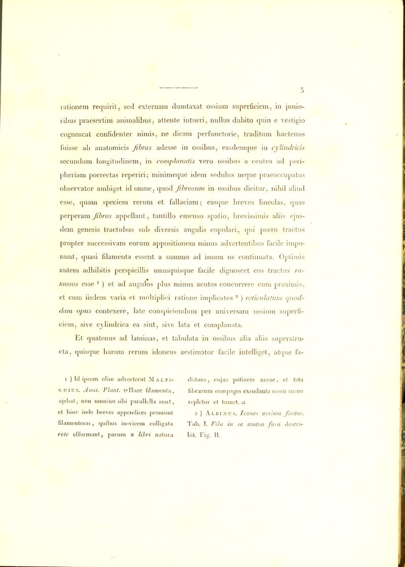 ribus praesertira animalibus, altente intueri, nullus dubito quin e vestigio cognoscat confidenter nimis, ne dicam perfunctorie, traditum hactenus fuisse ab anatomicis fihras adesse in ossibus, easdcmque in cjVuidricis secundum longitudinem, in complanatis vero ossibus a centro ad j)eri- pheriam porrectas reperiri^ minimeque idem seduhis neque praeoccupatus observator ambiget idomne, quod fihrosxim in ossibus dicitur, nihil ahud esse, quam speciem rerum et fallaciam^ easque breves hneolas, quas perperam fibras appellant, tantillo emenso spatio, brevissirais ahis ejus- dem generis tractubus sub diversis anguhs copulari, qui porro Iractus propter successivam eorum appositionem minus advertentibus facilc impo- nunt, quasi filamenta essent a summo ad inmm os continuata. Optimis autem adhibitis perspicilhs unusquisque facile dignoscet eos tractus ra- mosos esse * ) et ad angulos phis minus acutos concurrere cuni proximis, €t cum iisdem varia et midtiphci ralione imphcatos ^ ) reticidaiinn (jiiod- dam opus contexere, late conspicieudum per universam ossium superfi- ciem, sive cj/hndrica ea sint, sive lata et complanata. Et quatenus ad laminas, et tabulata in ossibus aha ahis supcrstru- cta, quisque harum rerum idoneus aestiraator facile intelhget, atque fa- 1 ) Id ipsnm oliin adveitcrat Malfi- GHius, Anai. Plant. 5?IIuec filamenta, ajcbat, non omnino sibi parallcUa siint, et bine indc breves appendices pronuint filamentosas, quibus in-vicem coUigata rele efformant, parum a lihri natura distans, ciijus potiores areae, et tota fibrarum compages exsudante osseo succo rcplctur ct tumet. 2) Albinus. Icones ossiuni Joclus. Talj. I. Fila in se inutuo fusa desci i- bit. Fig. II.