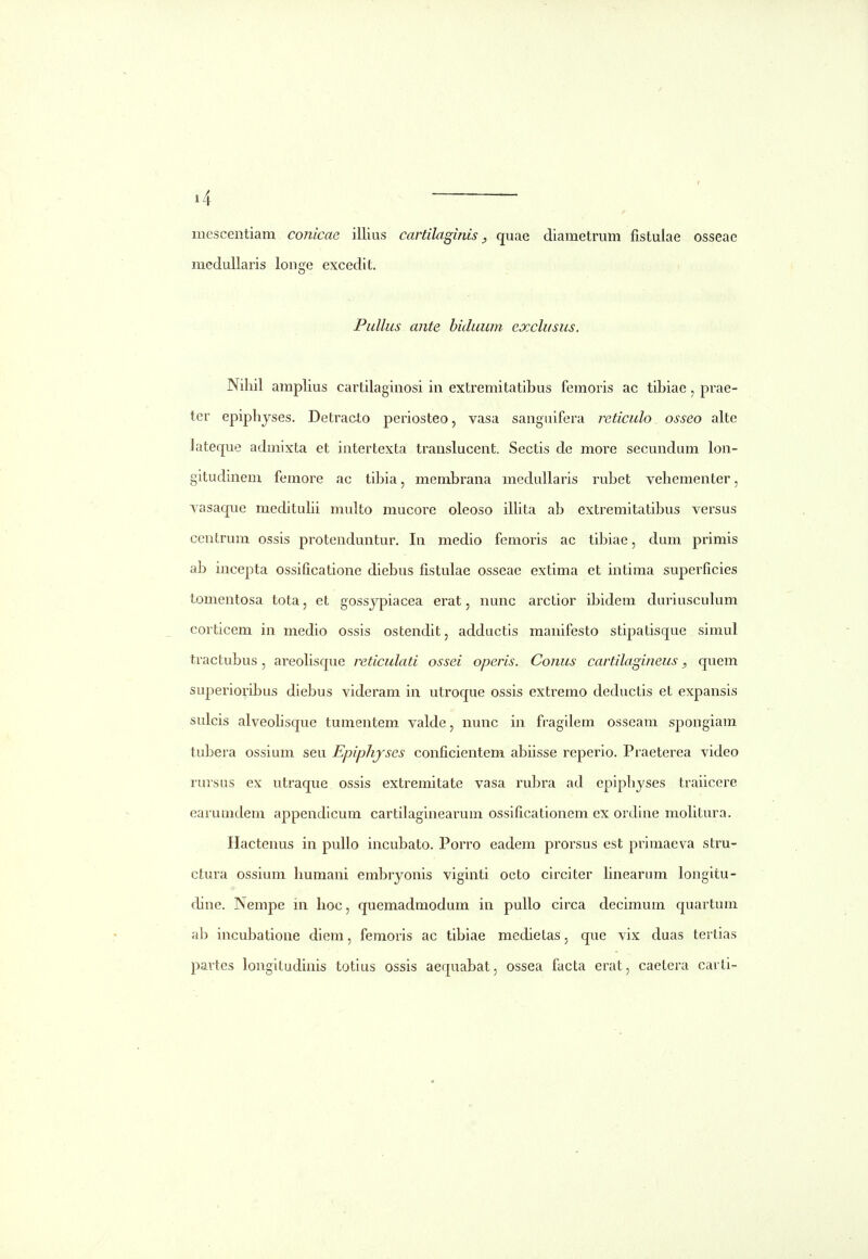 mescentiam conicae illius cartilaginis, quae diametrum fistuiae osseae medullaris longe excedit. Pullus ante biduum exclusus. Nihil amplius cartilaginosi in extremitatibus femoris ac tibiae, prae- ter epiphjses. Detracto periosteo, vasa sangiiifera reticulo osseo alte lateque admixta et intertexta translucent. Sectis de more secundum lon- gitudinem feinore ac tibia, membrana medullaris rubet vehementer, vasaque medituhi multo mucore oleoso ilhta ab extremitatibus versus centrum ossis protenduntur. In medio femoris ac tibiae, dum primis ab iucepta ossificatione diebus fistulae osseae extima et intima superficies tomentosa tota, et gossjpiacea erat, nunc arctior ibidem duriusculum eorticem in medio ossis ostendit, adductis manifesto stipatisque simul tractubus, areolisque reticulati ossei operis. Conus cartilagineus, quem superioribus diebus videram in utroque ossis extremo deductis et expansis sulcis alveolisque tumentem valde, nunc in fragilem osseam spongiam tubera ossium seu Epiphjses conficientem abiisse reperio. Praeterea video rursns ex utraque ossis extremitate vasa rubra ad epiphyses traiicere earunidem appendicum cartilaginearum ossificationem ex ordine molitura. Hactenus in pullo incubato. Porro eadem prorsus est primaeva stru- ctura ossium Iiumani embryonis viginti octo circiter linearum longitu- dine. Nempe in hoc, quemadmodum in pullo circa decimum quartum ab incubatione diem, femoris ac tibiae medietas, que vix duas tertias pavtes longitudinis totius ossis aequabat, ossea facta erat, caetera carti-