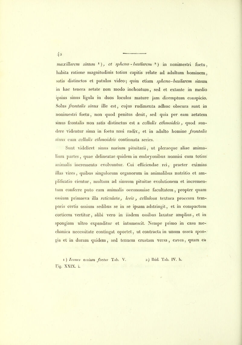 maxillarein sinum ^), et spheno - hasilarem in nommestri foetu, habita ratione magnitudinis totius capitis relate ad adultum hominem , satis dislinctos et patulos video^ quin etiam spheno-hasilarem sinum in hac tenera aetate non modo inchoatiun, sed et extante in medio ipsius sinus hgula iu duos loculos mature jam diremptum conspicio. Solus frontalis sinus ille est, cujus rudimenta adhuc obscura sunt in nonimestri foetu, non quod penitus desit, sed quia per eam aetatem sinus frontahs non satis distinctus est a cellulis ethmoideis, quod sua- dere videntur sima in foetu nasi radix, et in adulto homine Jrontalis sinus cum cellulis ethmoideis continuata series. Sunt videlicet sinus narium pituitarii, ut pleraeque aliae anima- hum partes , quae dehneatae quidem in embryonibus nonnisi cum totius animahs incremento evolvuntur. Cui efficiendae rei, praeter eximias illas vires, quibus singulorum organorum in animahbus nutritio et am- phficatio cientur, multum ad sinuum pituitae evolutionem et incremen- lum conferre puto eam animaKs oeconomiae facultatem, propter quam ossium primaeva illa reticulata, levis y cellulosa textura proccssu tem- poris certis ossium sedibus se in se ipsam adstringit, et in compactum corticem vertitur, ahbi vero in iisdem ossibus laxatur amphus, et in spongiam ultro expanditur et intumescit, Nempe primo in casu me- chanica necessitate contingat oportet, ut coiitracta in unum ossca spon- gia et in duram quidem, sed tenuem crustam versa , cavea, quam ea I ) Icones ossium foelus Tab. V. Fig. XXIX. i. 2) Ibid. Tab. IV. h.