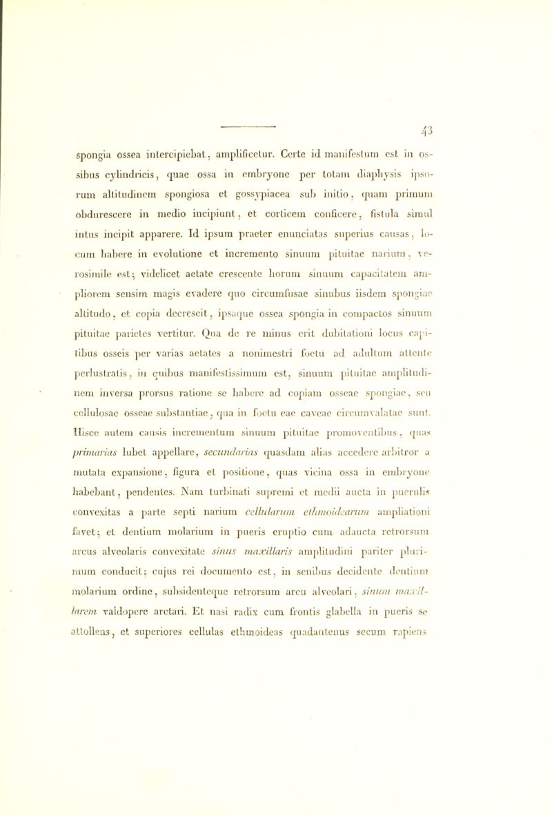 sibus cylindricis, quae ossa in embryone per totam diaphysis ipso- rum altitudincm spongiosa et gossj^iacea sub initio, quam primum obdurescere in medio incipiunt, et corticem conficere, fistula simul intus incipit apparere. Id ipsum praeter enunciatas superius causas, lo- cum habere in evohitione et incremento sinuum pituitae nariani, w- rosiraile est^ videhcet aetate crescentc horum sinuum capacitatem am- phorera sensim magis evadere quo circumfusae sinubus iisdem spongiac altitudo, et copia decrescit, ipsaque ossea spongia in compactos sinuuni pituitae pariclcs vertitur. Qiia de re minus erit dubitationi locus capi- tibus osseis per varias aetates a nonimestri fuetu ad adLdlum attente perlustratis, iu quibus manifestissimum est, sinuum pituitae amphtu(h- nem inversa prorsus ratione se habcrc ad copiam osscae spongiae, sou cellulosac osseae substantiac ^ qua in foclu eae caveae circumvalatac sunl. Ilisce autem causis incrementum sinuum pituitae jiromovoitibus , qnas primarias iubet appellarc, secundarias quasdam alias accedcrc arljitror a mutata expansione, flgura et positione, quas vicina ossa in embryoue habcbant, pcndentes. Nam lur])inali supreuii ct incdii aucta iu puoruli.^ convexitas a parte septi narium ccllidaruin etJiinoidcarum amphationi favet^ et dentium molarium in pueris eruptio cum adaucta rclrorsum arcus alveolaris convexitatc sinus maxillaris amplitudini paritcr phr.i- mum conducit^ cujus rci documcnto est, in scnibus decidcnte denlium molarium ordine, subsidentcquc retrorsum arcu alvcolari. siniun maxil- larem valdopere arctari. Et nasi radix cum frontis glabella in pueris so attolleiiSj et superiores celhilas ethmoideas quadantenus secum rapiens