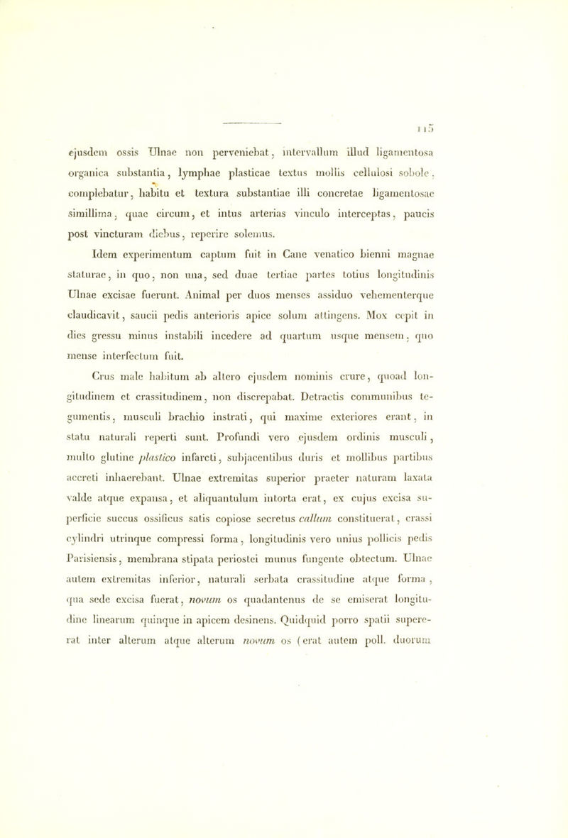 ejusdeni ossis Ulnac non perveniebat, intervallum illud ligamentosa organica substantia, lympliae plasticae textus moilis cellulosi sobole. complebatur, habitu ct textura substantiae illi concretae ligamentosac simillima, quae circum, et intus arterias vinculo interceptas, paucis post vincturam diebus, repcrirc solcnius, Idera experimentum captum fuit in Cane venatico bienni magnae staturae, in quo, non una, sed duae terliae partes totius longitudinis Uhiae excisae fuerunt. Animal per duos menses assiduo vehementerque claudicavit, saucii pedis anterioris apicc sohmi attingens. Mox ccpit in dies gressu minus instabiU incedere ad quartum usque mensem, quo mense interfectum fuit. Crus malc habitum ab allero cjusdem nominis crure, quoad lon- gitudinem et crassitudinem, non discrepabat. Detractis communibus te- gumentis, muscuh brachio instrati, qui maxime exteriores erant, in statu naturah reperti sunt. Profundi vero ejusdem ordinis muscuh, multo glutine plastico infarcti, subjaccntibus duris et molhbus partibus accrcti inhaerebant. Uhiae extremitas superior praeter naturam laxata valde atque expansa, et ahquantulum intorta crat, ex cujus excisa su- pcrficie succus ossillcus satis copiose sccvetus callum constituerat, crassi cyhndri utrinque compressi forma, longitudinis vero unius poUicis pedis Parisiensis, membrana stipata pcriostci munus fungente obtectum. Uhiac autem extremitas inferior, naturah serbata crassitudine atque forma , qua sede excisa fuerat, no*>>um os quadantenus de se emiserat longitu- dinc hnearum quinque in apiccm desincns. Quidquid porro spatii supere- rat inter alterum atque alterum nomm os (erat autem poU. duoruni