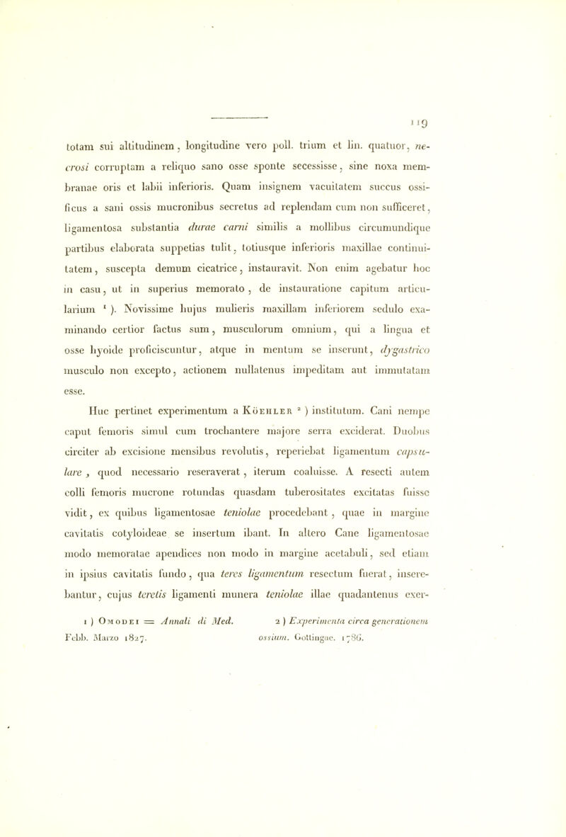 tolam sui allltudincm, longitudine vero poll. trium et lin. quatuor, ne- crosi corruptam a reliquo sano osse sponte secessisse, sine noxa mem- branae oris et laLii inferioris. Quam insignem Tacuitatem succus ossi- ficus a sani ossis mucronibus secretus ad replendam cum non sufficeret, Ijgamentosa substantia durae carni similis a molbbus circumundique partibus elaborata suppetias tulit, totiusque inferioris maxillae continui- tatem, suscepta demum cicatrice, instauravit. Non enim agebatur hoc in casu, ut in superius memorato , de instauratione capitum articu- larium ' ). Novissime hujus muheris maxillam inferiorem sedulo exa- minando certior factus sum, musculorum omnium, qui a Hngua et osse hjoide proficiscunlur, atque in mentimi se inscrunt, djgastrico musculo non excepto, actionem nullatenus impeditam aut immutatam esse. Huc pertinet experimentum a Koiehler ^ ) instilulum. Cani nempc caput femoris siimd cum trochantere majore serra exciderat. Duobus circiter ab excisione mensibus revohitis, reperiebat ligamentum capsit- lare , quod necessario reseraverat, iterum coahiisse. A resecti autem colh femoris mucrone rotundas quasdam tuberositates excitatas fuissc vidit, ex quibus hgamentosae teniolae proccdcbant , quae in margine cavitatis cotyloideae se insertum ibant. In altero Cane hgamentosac modo memoratae apendices non modo in margine acetabuh, sed etiam in ipsius cavitalis fundo , qua teres ligamentum resectum fuerat, inscrc- bantur, cujus tereiis hgamenti munera teniolae illae cpiadantenus exer- i) Omodei = Annali di Med. i) Experiincnta circa genc.raiioneiii Fobb. Marzo 1827. ossiutn. Gotlingac. i^SG.