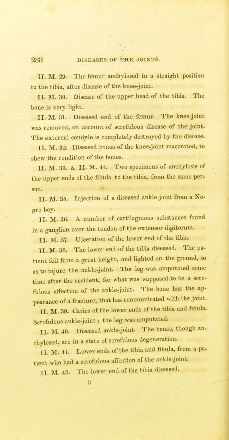 II. M. 29. The femur anchylosed in a straight position to the tibia, after disease of the knee-joint. II. M. 30. Disease of the upper head of the tibia. The bone is very light. II. M. 31. Diseased end of the femur. The knee-joint was removed, on account of scrofulous disease of the joint. The external condyle is completely destroyed by the disease. II. M. 32. Diseased bones of the knee-joint macerated, to shew the condition of the bones. II. M. 33. & II. M. 44. Two specimens of anchylosis of the upper ends of the fibula to the tibia, from the same per- son. II. M. 35. Injection of a diseased ankle-joint from a Ne- gro boy. II. M. 36i A number of cartilaginous substances found in a ganglion over the tendon of the extensor digitorum. II. M. 37- Ulceration of the lower end of the tibia. II. M. 38. The lower end of the tibia diseased. The pa- tient fell from a great height, and lighted on the ground, so as to injure the ankle-joint. The leg was amputated some time after the accident, for what was supposed to be a scro- fulous affection of the ankle-joint. The bone has the ap- pearance of a fracture, that has communicated with the joint. II. M. 39- Caries of the lower ends of the tibia and fibula. Scrofulous ankle-joint; the leg was amputated. II. M. 40. Diseased ankle-joint. The bones, though an- chylosed, are in a state of scrofulous degeneration. II. M. 41. Lower ends of the tibia and fibula, from a pa- tient who had a scrofulous affection of the ankle-joint. II. M. 42. The lower end of the tibia diseased. 3