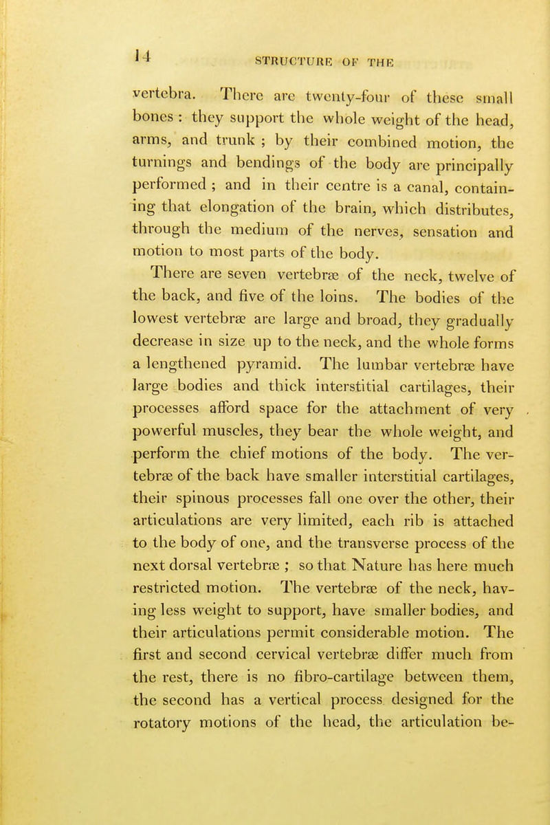 STRUCTURE OF THE vertebra. There are twenty-four of these small bones : they support the whole weight of the head, arms, and trunk ; by their combined motion, the turnings and bendings of the body are principally performed ; and in their centre is a canal, contain- ing that elongation of the brain, which distributes, through the medium of the nerves, sensation and motion to most parts of the body. There are seven vertebras of the neck, twelve of the back, and five of the loins. The bodies of the lowest vertebra? are large and broad, they gradually decrease in size up to the neck, and the whole forms a lengthened pyramid. The lumbar vertebras have large bodies and thick interstitial cartilages, their processes afford space for the attachment of very powerful muscles, they bear the whole weight, and perform the chief motions of the body. The ver- tebrae of the back have smaller interstitial cartilages, their spinous processes fall one over the other, their articulations are very limited, each rib is attached to the body of one, and the transverse process of the next dorsal vertebras ; so that Nature has here much restricted motion. The vertebras of the neck, hav- ing less weight to support, have smaller bodies, and their articulations permit considerable motion. The first and second cervical vertebrae differ much from the rest, there is no fibro-cartilage between them, the second has a vertical process designed for the rotatory motions of the head, the articulation be-