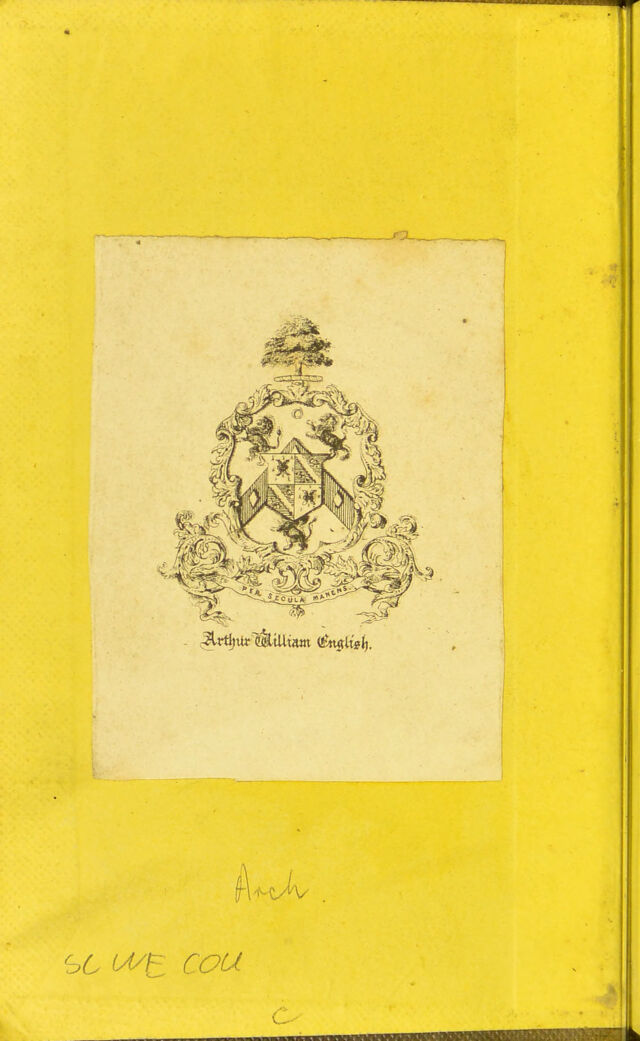 digitised image 2