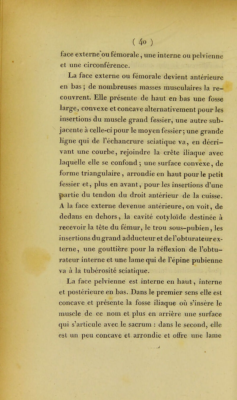 face externe'ou fémorale, une interne ou pelvienne et une circonférence. La face externe ou fémorale devient antérieure en bas ; de nombreuses masses musculaires la re- couvrent. Elle présente de haut en bas une fosse large, convexe et concave alternativement pour les insertions du muscle grand fessier, une autre sub- jacente à celle-cipour le moyen fessier ; une grande ligne qui de Téchancrure sciatique va, en décri- vant une courbe, rejoindre la crête iliaque avec laquelle elle se confond ; une surface convexe, de forme triangulaire, arrondie en haut pour le petit fessier et, plus en avant, pour les insertions d'une partie du tendon du droit antérieur de la cuisse. A la face externe devenue antérieure, on voit, de dedans en dehors, la cavité cotyloïde destinée à recevoir la tête du fémur, le trou sous-pubien, les insertions du grand adducteur et de Pobturateur ex- terne, une gouttière pour la réflexion de Pobtu- rateur interne et une lame qui de Tépine pubienne va à la tubérosité sciatique. La face pelvienne est interne en haut, interne et postérieure en bas. Dans le premier sens elle est concave et présente la fosse iliaque où s'insère le muscle de ce nom et plus en arrière une surface qui s'articule avec le sacrum : dans le second, elle est un peu concave et axTondie et offre une lame