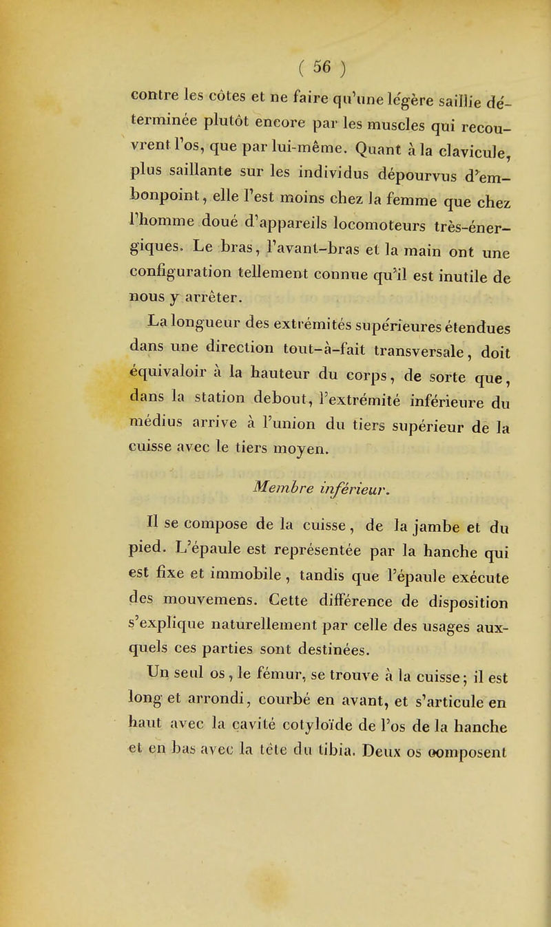 contre les côtes et ne faire qu'une légère saillie dé- terminée plutôt encore par les muscles qui recou- vrent Tos, que par lui-même. Quant à la clavicule, plus saillante sur les individus dépourvus d'em- bonpoint, elle Test moins chez la femme que chez rhomme doué d'appareils locomoteurs très-éner- giques. Le bras, Favanl-bras et la main ont une configuration tellement connue qu'il est inutile de nous y arrêter. La longueur des extrémités supérieures étendues dans une direction tout-à-fait transversale, doit équivaloir à la hauteur du corps, de sorte que, dans la station debout, l'extrémité inférieure du médius arrive à l'union du tiers supérieur de la cuisse avec le tiers moyen. Membre inférieur. Il se compose de la cuisse, de la jambe et du pied. L'épaule est représentée par la hanche qui est fixe et immobile, tandis que l'épaule exécute des mouvemens. Cette différence de disposition s'explique naturellement par celle des usages aux- quels ces parties sont destinées. Un seul os, le fémur, se trouve à la cuisse; il est long et arrondi, courbé en avant, et s'articule en haut avec la cavité cotyloïde de l'os de la hanche et en bas avec la téle du tibia. Deux os oomposent