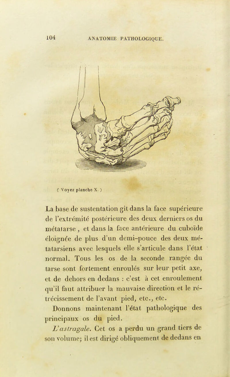 C Voyez planche X. ) La base de sustentation gît dans la face supérieure de l'extrémité postérieure des deux derniers os du métalarse , et dans la face antérieure du cuboïde éloignée de plus d'un demi-pouce des deux mé- tatarsiens avec lesquels elle s'articule dans l'état normal. Tous les os de la seconde rangée du tarse sont fortement enroulés sur leur petit axe, et de dehors en dedans : c'est à cet enroulement qu'il faut attribuer la mauvaise direction et le ré- trécissement de l'avant pied, etc., etc. Donnons maintenant l'état pathologique des principaux os du pied. L'astragale. Cet os a perdu un grand tiers de son volume; il est dirigé obliquement de dedans en