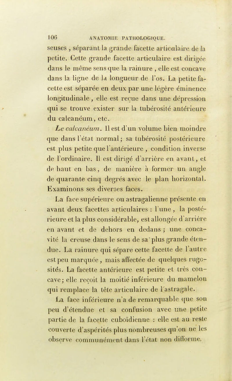 seuses , séparant la grande facette articulaire de la petite. Cette grande facette articulaire est dirigée dans le même sens que la rainure , elle est concave dans la ligne de la longueur de l'os. La petite fa- cette est séparée en deux par une légère éminence longitudinale, elle est reçue dans une dépression qui se trouve exister sur la tubérosité antérieure du calcanéum, etc. Le calcanéum. Il est d'un volume bien moindre que dans l'étal normal ; sa tubérosité postérieure est plus petite que l'antérieure , condition inverse de l'ordinaire. Il est dirigé d'arrière en avant, et de haut en bas, de manière à former un angle de quarante cinq degrés avec le plan horizontal. Examinons ses diverses faces. La face supérieure ou astragalienne présente en avant deux facettes articulaires : l'une , la posté- rieure et la plus considérable, est allongée d'arrière en avant et de dehors en dedans ; une conca- vité la creuse dans le sens de sa plus grande éten- due. La rainure qui sépare cette facette de l'autre est peu marquée, mais affectée de quelques rugo- sités. La facette antérieure est petite et très con- cave; elle reçoit la moitié inférieure du mamelon qui remplace la tête articulaire de l'astragale. La face inférieure n'a de remarquable que son peu d'étendue et sa confusion avec une petite partie de la facette cuboïdienne : elle est au reste couverte d'aspérités plus nombreuses qu'on ne les observe communément dans l'état non difforme.