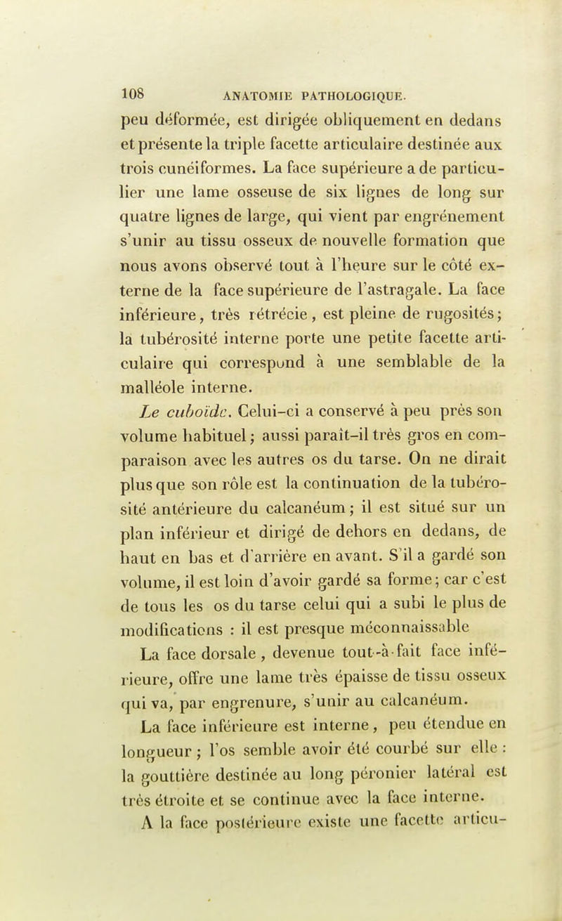 peu déformée, est dirigée obliquement en dedans et présente la triple facette articulaire destinée aux trois cunéiformes. La face supérieure a de particu- lier une lame osseuse de six lignes de long sur quatre lignes de large, qui vient par engrénement s'unir au tissu osseux de nouvelle formation que nous avons observé tout à l'heure sur le côté ex- terne de la face supérieure de l'astragale. La face inférieure, très rétrécie , est pleine de rugosités ; la tubérosité interne porte une petite facette arti- culaire qui correspund à une semblable de la malléole interne. Le cuhoïdc. Celui-ci a conservé à peu près son volume habituel; aussi paraît-il très gros en com- paraison avec les autres os du tarse. On ne dirait plus que son rôle est la continuation de la tubéro- sité antérieure du calcanéum ; il est situé sur un plan inférieur et dirigé de dehors en dedans, de haut en bas et d'arrière en avant. S'il a gardé son volume, il est loin d'avoir gardé sa forme ; car c'est de tous les os du tarse celui qui a subi le plus de modifications : il est presque méconnaissable La face dorsale, devenue tout-à-fait face infé- rieure, offre une lame très épaisse de tissu osseux qui va, par engrenure, s'unir au calcanéum. La face inférieure est interne , peu étendue en longueur ; l'os semble avoir été courbé sur elle : la gouttière destinée au long péronier latéral est très étroite et se continue avec la face interne. A la face postérieure existe une facette articu-