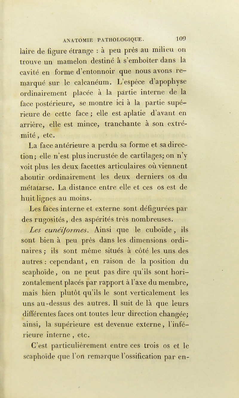 laire de figure étrange : à peu près au milieu on trouve un mamelon destiné à s'emboîter dans la cavité en forme d'entonnoir que nous avons re- marqué sur le calcanéum. L'espèce d'apophyse ordinairement placée à la pârtie interne de la face postérieure, se montre ici à la partie supé- rieure de cette face ; elle est aplatie d'avant en arrière, elle est mince, tranchante à son extré- mité , etc. La face antérieure a perdu sa forme et sa direc- tion; elle n'est plus incrustée de cartilages; on n'y voit plus les deux facettes articulaires où viennent aboutir ordinairement les deux derniers os du métatarse. La distance entre elle et ces os est de huit lignes au moins. Les faces interne et externe sont défigurées par des rugosités, des aspérités très nombreuses. Les cunéiformes. Ainsi que le cuboïde, ils sont bien à peu près dans les dimensions ordi- naires ; ils sont même situés à côté les uns des autres : cependant, en raison de la position du scaphoïde, on ne peut pas dire qu'ils sont hori- zontalement placés par rapport à l'axe du membre, mais bien plutôt qu'ils le sont verticalement les uns au-dessus des autres. Il suit de là que leurs différentes faces ont toutes leur direction changée; ainsi, la supérieure est devenue externe, l'infé- rieure interne , etc. C'est particulièrement entre ces trois os et le scaphoïde que l'on remorque l'ossification par en-