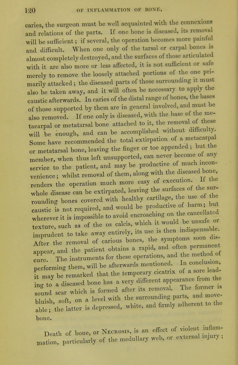 caries, the surgeon must be well acquainted with the connexions and relations of the parts. If one bone is diseased, its removal will be suflicient; if several, the operation becomes more painful and difficult. When one only of the tarsal or carpal bones is almost completely destroyed, and the surfaces of those articulated with it are also more or less aflected, it is not sufficient or safe merely to remove the loosely attached portions of the one pri- marily attacked ; the diseased parts of those surrounding it must also be taken away, and it will often be necessary to apply the caustic afterwards. In caries of the distal range of bones, the bases of those supported by them are in general involved, and must be also removed. If one only is diseased, with the base of the me- tacarpal or metatarsal bone attached to it, the removal of these will be enough, and can be accomplished without difficulty Some have recommended the total extirpation of a metacarpal or metatarsal bone, leaving the finger or toe appended; but the member, when thus left unsupported, can never become of any service to the patient, and maybe productive of much incon- venience ; whilst removal of them, along with the diseased bone renders the operation much more easy of execution If he whole disease can be extirpated, leaving the surfaces of the su - rounding bones covered with healthy cartilage, the use o tl^ caustic Is not required, and would be productive of haim but wherever it is impossible to avoid encroachmg on the cancel at- d Texture such as of the os calcis, which it would be unsafe oi ZZlTt to take away entirely, its use is then indispensable. aL the removal of carious bones, the symptoms soon dis- appear and the patient obtains a rapid, and often permanent :r The instruments for these operations, and the method of performing them, will be afterwards mentioned In conclusion, •t may be remarked that the temporary cicatrix of a sore le d- 1, to a diseased bone has a very different appeax-ce^.^^^^^^^^ sound scar which is formed after its removal. The former is w 1 .oft on a level with the surrounding parts, and move- X'^'^ is depressed, white, and Wy adherent to the bone. Death of bone, or Necrosis, is an effect of violent inflam- „a^ot particntal, of the medullary web, or external n,jury ;