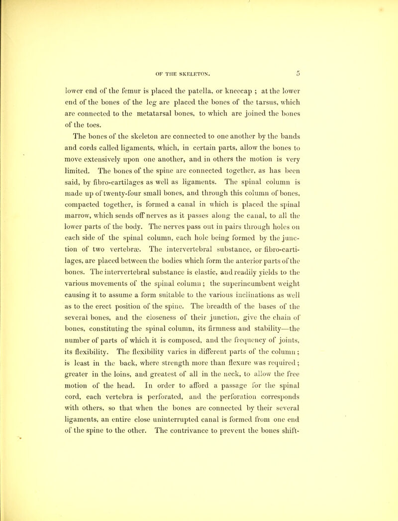 lower end of the femur is placed the patella, or kneecap ; at the lower end of the bones of the leg are placed the bones of the tarsus, which are connected to the metatarsal bones, to which are joined the bones of the toes. The bones of the skeleton are connected to one another by the bands and cords called ligaments, which, in certain parts, allow the bones to move extensively upon one another, and in others the motion is very limited. The bones of the spine are connected together, as has been said, by fibro-cartilages as well as ligaments. The spinal column is made up of twenty-four small bones, and through this column of bones, compacted together, is formed a canal in which is placed the spinal marrow, which sends off nerves as it passes along the canal, to all the lower parts of the body. The nerves pass out in pairs through holes on each side of the spinal column, each hole being formed by the junc- tion of two vertebrae. The intervertebral substance, or fibro-carti- lages, are placed between the bodies which form the anterior parts of the bones. The intervertebral substance is elastic, and readily yields to the various movements of the spinal column; the superincumbent weight causing it to assume a form suitable to the various inclinations as well as to the erect position of the spine. The breadth of the bases of the several bones, and the closeness of their junction, give the chain of bones, constituting the spinal column, its firmness and stability—the number of parts of which it is composed, and the frequency of joints, its flexibility. The flexibility varies in different parts of the column ; is least in the back, where strength more than flexure was required; greater in the loins, and greatest of all in the neck, to allow the free motion of the head. In order to afford a passage for the spinal cord, each vertebra is perforated, and the perforation corresponds with others, so that when the bones are connected by their several ligaments, an entire close uninterrupted canal is formed from one end of the spine to the other. The contrivance to prevent the bones shift-
