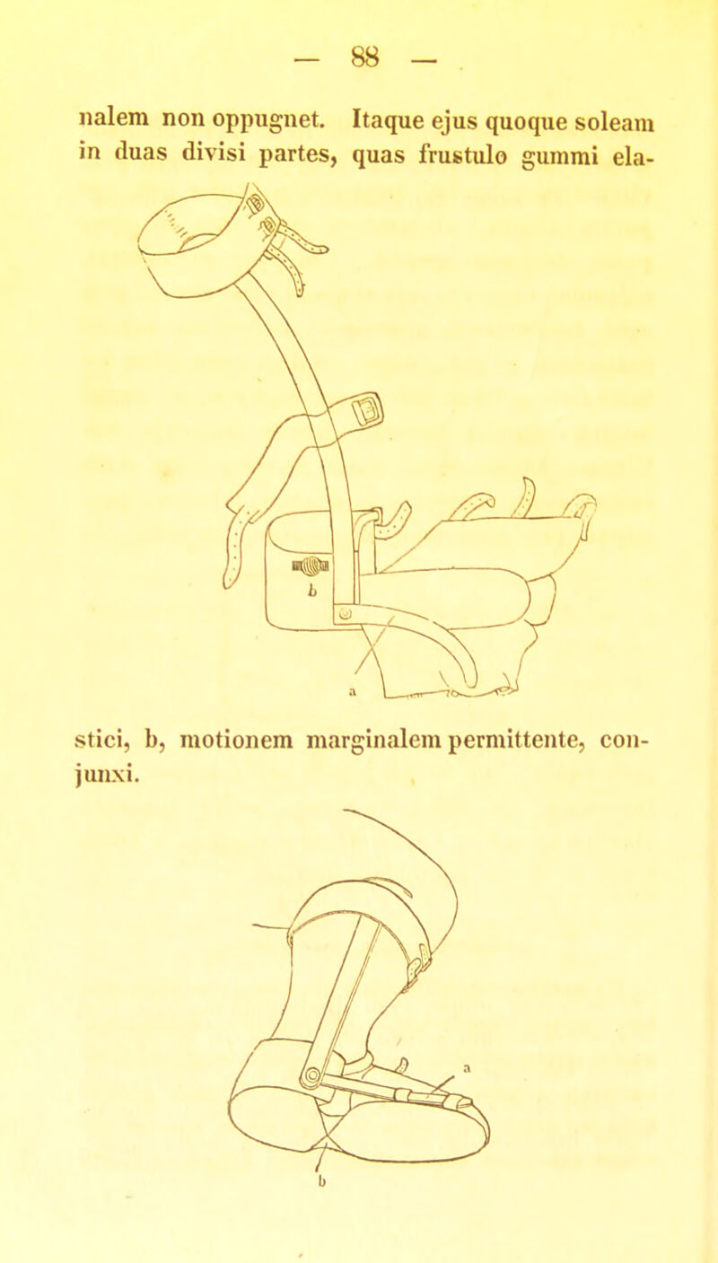 nalem non oppugnet. Itaque ejus quoque soleam in duas divisi partes, quas frustulo gummi ela- stici, b, motionem marginalem permittente, con- junxi.