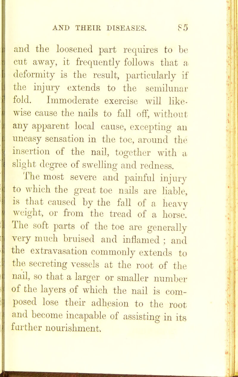 and the loosened part requires to be cut away, it frequently follows that a deformity is the result, particularly if the injury extends to the semilunar fold. Immoderate exercise will like- wise cause the nails to fall off, without any apparent local cause, excepting an uneasy sensation in the toe, around the insertion of the nail, together with a slight degree of swelling and redness. The most severe and painful injury to which the great toe nails are liable, is that caused by the fall of a heavy weight, or from the tread of a horse. The soft parts of the toe are generally very much bruised and inflamed ; and the extravasation commonly extends to the secreting vessels at the root of the nail, so that a larger or smaller number of the layers of which the nail is com- posed lose their adhesion to the root and become incapable of assisting in its farther nourishment.