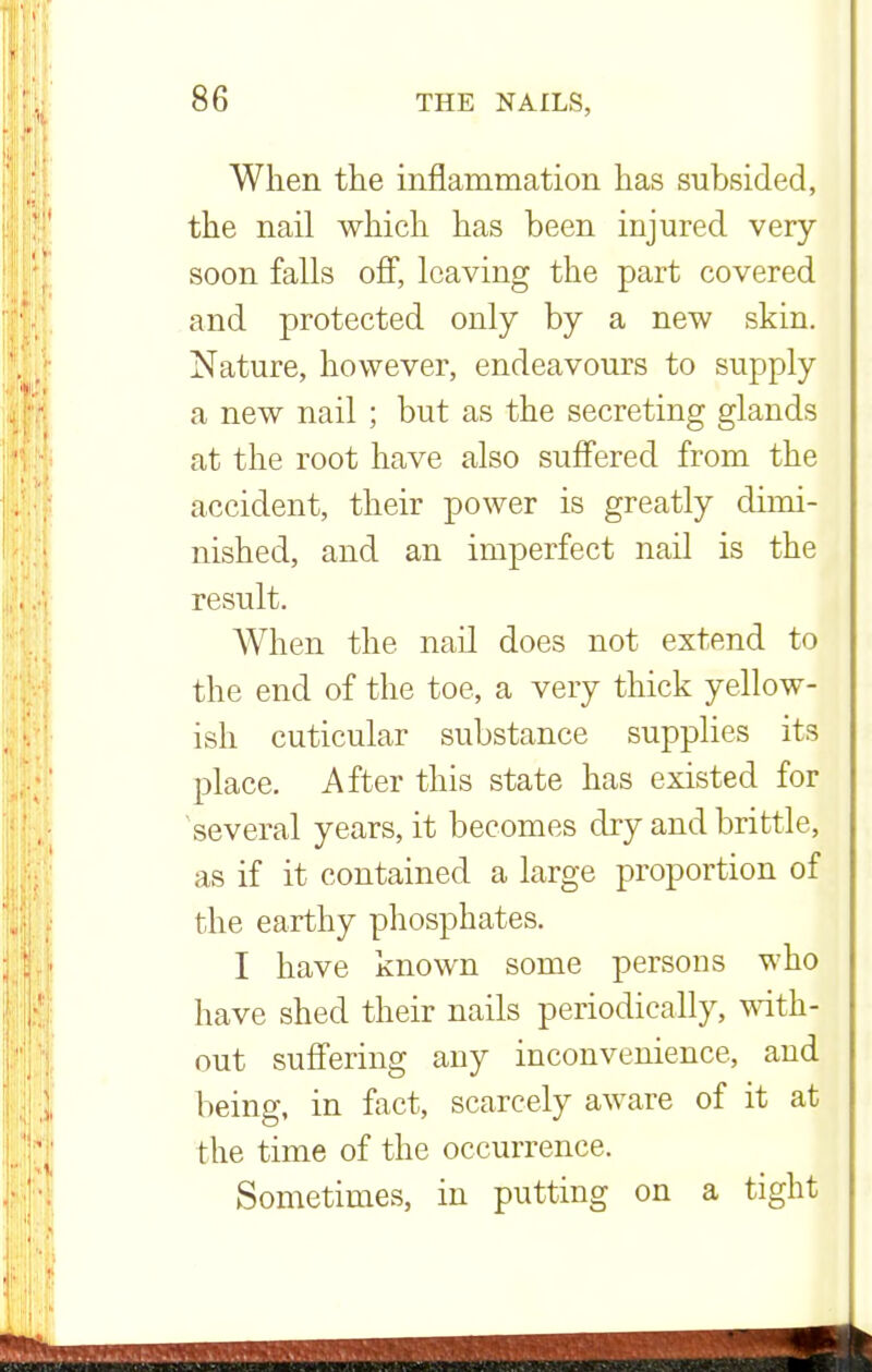 When the inflammation has subsided, the nail which has been injured very soon falls off, leaving the part covered and protected only by a new skin. Nature, however, endeavours to supply a new nail ; but as the secreting glands at the root have also suffered from the accident, their power is greatly dimi- nished, and an imperfect nail is the result. When the nail does not extend to the end of the toe, a very thick yellow- ish cuticular substance supplies its place. After this state has existed for several years, it becomes dry and brittle, as if it contained a large proportion of the earthy phosphates. I have known some persons who have shed their nails periodically, with- out suffering any inconvenience, and being, in fact, scarcely aware of it at the time of the occurrence. Sometimes, in putting on a tight