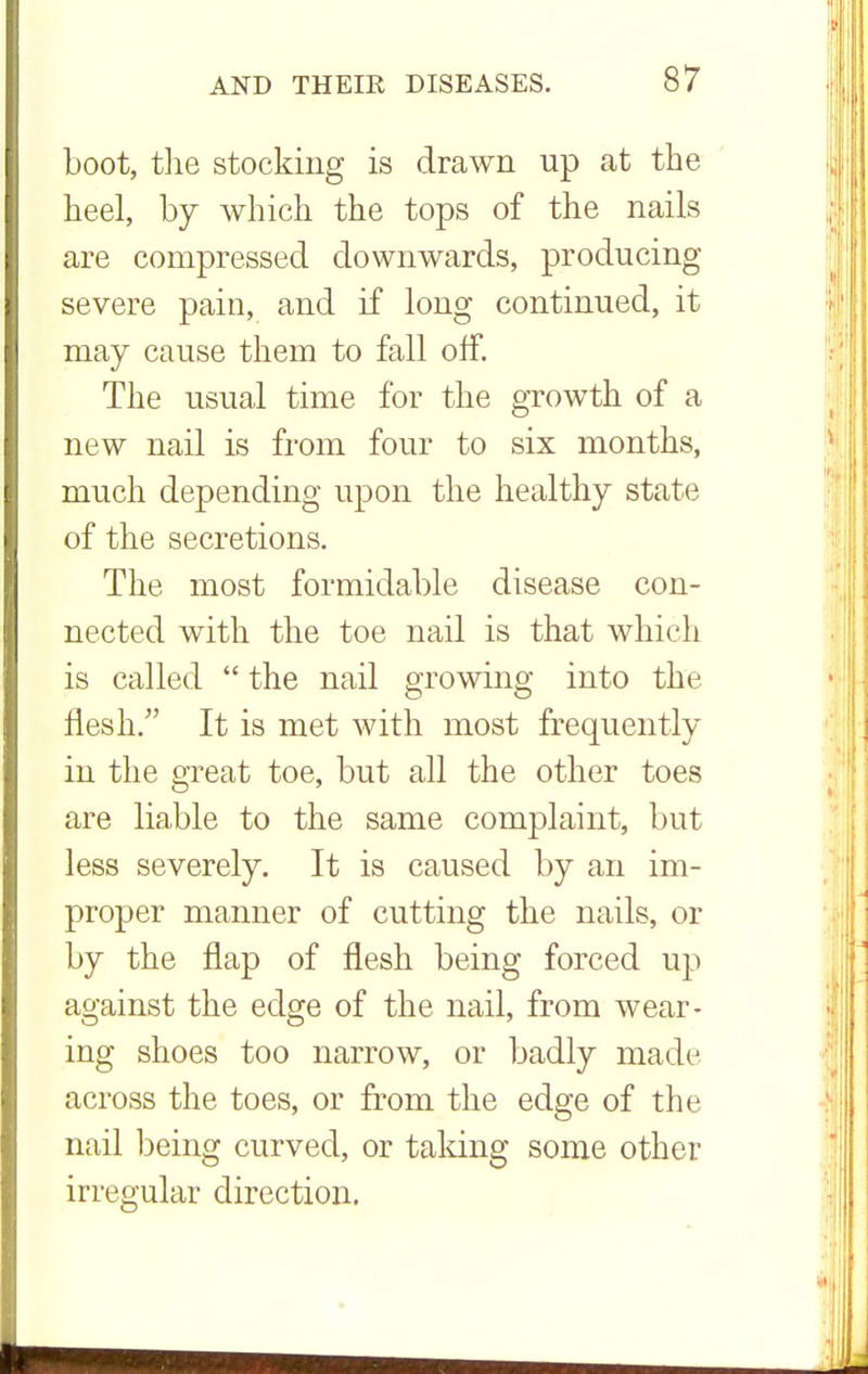 boot, the stocking is drawn up at the heel, by which the tops of the nails are compressed downwards, producing severe pain, and if long continued, it may cause them to fall off. The usual time for the growth of a new nail is from four to six months, much depending upon the healthy state of the secretions. The most formidable disease con- nected with the toe nail is that which is called  the nail growing into the flesh. It is met with most frequently in the great toe, but all the other toes are liable to the same complaint, but less severely. It is caused by an im- proper manner of cutting the nails, or by the flap of flesh being forced up against the edge of the nail, from wear- ing shoes too narrow, or badly made across the toes, or from the edge of the nail being curved, or taking some other irregular direction.