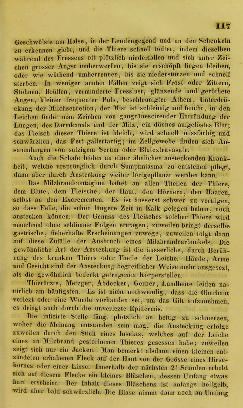 Geschwülste am Halse, in der Lendengegend und an den Schenkeln zu erkennen giebt, und die Thiere schnell tödtet, indem dieselben -während des Fressens oft plötzlich niederfallen und sich unter Zei- chen grosser Angst umherwerfen, bis sie erschöpft liegen bleiben, oder wie wüthend umherrennen, bis sie niederstürzen und schnell sterben. In weniger acuten Fällen zeigt sich Frost oder Zittern, Stöhnen, Brüllen, verminderte Fresslust, glänzende und geröthete Augen, kleiner frequenter Puls, beschleunigter Athem, Unterdrü- ckung der Milchsecretion, der Mist ist schleimig und feucht, in den Leichen findet man Zeichen von gangränescirender Entzündung der Lungen, des Darmkanals und der Milz, ein dünnes aufgelöstes Blut; <3as Fleisch dieser Thiere ist bleich, wird schnell missfarbig und schwärzlich, das Fett gallertartig; im Zellgewebe finden sich An- sammlungen von sulzigem Serum oder Blutextravasate. Auch die Schafe leiden an einer ähnlichen ansteckenden Krank- heit, welche ursprünglich durch Sumpfmiasma zu entstehen pflegt, dann aber durch Ansteckung weiter fortgepflanzt werden kann. Das Milzbrandcontagium haftet an allen Theilen der Thiere, dem Blute, dem Fleische, der Haut, den Hörnern, den Haaren, selbst an den Excrementen. Es ist äusserst schwer zu vertilgen, so dass Felle, die schon längere Zeit in Kalk gelegen haben, noch anstecken können. Der Genuss des Fleisches solcher Thiere wird manchmal ohne schlimme Folgen ertragen, zuweilen bringt derselbe gastrische, fieberhafte Erscheinungen zuwege, zuweilen folgt dann auf diese Zufälle der Ausbruch eines Milzbrandcarbunkels. Die gewöhnliche Art der Ansteckung ist die äusserliche, durch Berüh- rung des kranken Thiers oder Theile der Leiche. Hände, Arme und Gesicht sind der Ansteckung begreiflicher Weise mehr ausgesezt, als die gewöhnlich bedeckt getragenen Körperstellen. Thierärzte, Metzger, Abdecker, Gerber, Landleute leiden na- türlich am häufigsten. Es ist nicht nothwendig, dass die Oberhaut verlezt oder eine Wunde vorhanden sei, um das Gift aufzunehmen, es dringt auch durch die unverlezte Epidermis. Die inficirte Stelle fängt plötzlich an heftig zu schmerzen, woher die Meinung entstanden sein mag, die Ansteckung erfolge zuweilen durch den Stich eines Insekts, welches auf der Leiche eines an Milzbrand gestorbenen Thieres gesessen habe; zuweilen zeigt sich nur ein Jucken. Man bemerkt alsdann einen kleinen ent- zündeten erhabenen Fleck auf der Haut von der Grösse eines Hirse- kornes oder einer Linse. Innerhalb der nächsten 24 Stunden erhebt sich auf diesem Flecke ein kleines Bläschen, dessen Umfang etwas hart erscheint. Der Inhalt dieses Bläschens ist anfangs hellgelb, wird aber bald schwärzlich. Die Blase nimmt dann noch an Umfang