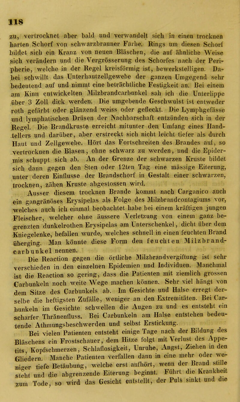 zu, vertrocknet aber bald und verwandelt sich in einen trocknen harten Schorf von schwarzbrauner Farbe. Rings um diesen Schorf bildet sich ein Kranz von neuen Bläschen, die auf ähnliche Weise sich verändern und die Vergrösserung des Schorfes nach der Peri- pherie, welche in der Regel kreisförmig ist, bewerkstelligen. Da- bei sohwillt das Unterhautzellgewebe der ganzen Umgegend sehr bedeutend auf und nimmt eine beträchtliche Festigkeit an. Bei einem am Kinn entwickelten Milzbrandcarbunkel sah ich die Unterlippe über 3 Zoll dick werden. Die umgebende Geschwulst ist entweder roth gefärbt oder glänzend weiss oder gefleckt. Die Lymphgefässe und lymphatischen Drüsen der Nachbarschaft entzünden sich in der Regel. Die Brandkruste erreicht mitunter den Umfang eines Hand- tellers und darüber, aber erstreckt sich nicht leicht tiefer als durch Haut und Zellgewebe. Hört das Fortschreiten des Brandes auf, so vertrocknen die Blasen, ohne schwarz zu werden, und die Epider- mis schuppt sich ab. An der Grenze der schwarzen Kruste bildet sich dann gegen den 8ten oder 12ten Tag eine mässige Eiterung, unter deren Einflüsse der Brandschorf in Gestalt einer schwarzen, trocknen, zähen Kruste abgestossen wird. Ausser diesem trocknen Brande kommt nach Carganico auch ein gangränöses Erysipelas als Folge des Milzbrandcontagiums vor, welches auch ich einmal beobachtet habe bei einem kräftigen jungen Fleischer, welcher ohne äussere Verletzung von einem ganz be- grenzten dunkelrothen Erysipelas am Unterschenkel, dicht über dem Kniegelenke, befallen wurde, welches schnell in einen feuchten Brand überging. Man könnte diese Form den feuchten Milzbrand- carbunkel nennen. Die Reaction gegen die örtliche Milzbrandvergiftung ist sehr verschieden in den einzelnen Epidemien und Individuen. Manchmal ist die Reaction so gering, dass die Patienten mit ziemlich grossen Carbunkeln noch weite Wege machen können. Sehr viel hängt von dem Sitze des Carbunkels ab. Im Gesichte und Halse erregt der- selbe die heftigsten Zufälle, weniger an den Extremitäten. Bei Car- bunkeln im Gesichte schwellen die Augen zu und es entsteht ein scharfer Thränenfluss. Bei Carbunkeln am Halse entstehen bedeu- tende Athmungsbeschwerden und selbst Erstickung. Bei vielen Patienten entsteht einige Tage nach der Bildung des Bläschens ein Frostschauer, dem Hitze folgt mit Verlust des Appe- tits, Kopfschmerzen, Schlaflosigkeit, Unruhe, Angst, Ziehen m den Gliedern Manche Patienten verfallen dann in eine mehr oder we- niger tiefe Betäubung, welche erst aufhört, wenn der Brand stille steht und die abgrenzende Eiterung beginnt. Führt die Krankheit zum Tode, so wird das Gesicht entstellt, der Puls sinkt und die