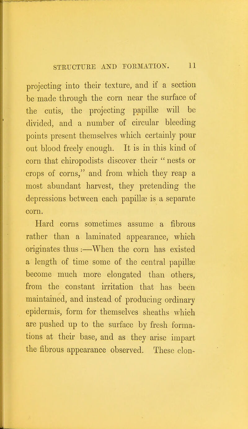 projecting into their texture, and if a section be made through the corn near the surface of the cutis, the projecting papillae will be divided, and a number of circular bleeding points present themselves which certainly pour out blood freely enough. It is in this kind of corn that chiropodists discover their  nests or crops of corns/' and from which they reap a most abundant harvest, they pretending the depressions between each papillae is a separate corn. Hard corns sometimes assume a fibrous rather than a laminated appearance, which originates thus:—When the corn has existed a length of time some of the central papillae become much more elongated than others, from the constant irritation that has been maintained, and instead of producing ordinary epidermis, form for themselves sheaths which are pushed up to the surface by fresh forma- tions at their base, and as they arise impart the fibrous appearance observed. These elon-