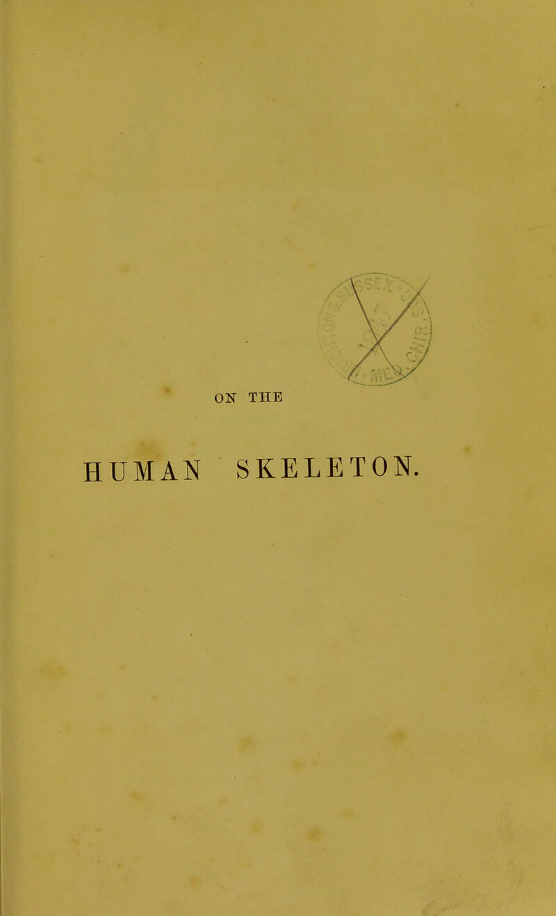 ON THE HUMAN SKELETON.