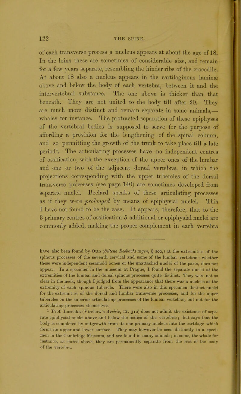 of each transverse process a nucleus appears at about the age of 18. In the loins these are sometimes of considerable size, and remain for a few years separate, resembling the hinder ribs of the crocodile. At about 18 also a nucleus appears in the cartilaginous laminaj above and below the body of each vertebra, between it and the intervertebral substance. The one above is thicker than that beneath. They are not united to the body till after 20. They are much more distinct and remain separate in some animals,— whales for instance. The protracted separation of these epiphyses of the vertebral bodies is supposed to serve for the purpose of affording a provision for the lengthening of the spinal column, and so permitting the growth of the trunk to take place till a late period^ The articulating processes have no independent centres of ossification, with the exception of the upper ones of the lumbar and one or two of the adjacent dorsal vertebrae, in which the projections corresponding with the upper tubercles of the dorsal transverse processes (see page 140) are sometimes developed from separate nuclei. Beclard speaks of these articulating processes as if they were prolonged by means of epiphysial nuclei. This I have not found to be the case. It appears, therefore, that to the 3 primary centres of ossification 5 additional or epiphysial nuclei are commonly added, making the proper complement in each vertebra have also been found by Otto (Seltene Bedbachtimgen, § 100,) at the extremities of the spinous processes of the seventh cervical and some of the lumbar vertebrae : whether these were independent sesamoid bones or the unattached nuclei of the parts, does not appear. In a specimen in the museum at Prague, I found the separate nuclei at the extremities of the lumbar and dorsal spinous processes quite distinct. They were not so clear in the neck, though I judged from the appearance that there was a nucleus at the extremity of each spinous tubercle. There were also in this specimen distinct nuclei for the extremities of the dorsal and lumbar transverse processes, and for the upper tubercles on the superior articulating processes of the lumbar vertebrae, but not for the articulating processes themselves. ^ Prof. Luschka (Virchow's Archiv, IX. 312) does not admit the existence of sepa- rate epiphysial nuclei above and below the bodies of the vertebroe ; but says that the body is completed by outgrowth from its one primary nucleus into the cartilage which forms its upper and lower surface. They may however be seen distinctly in a speci- men in the Cambridge Museum, and are found in many animals; in some, the whale for instance, as stated above, they are pennanently separate from the rest of the body of the vertebra.