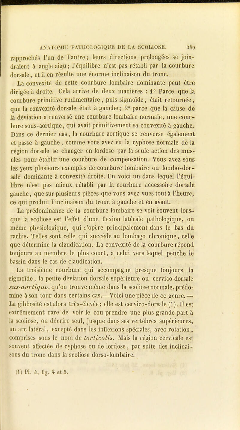 rapprochés l'un de l'autre; leurs directions prolongées se join- draient à angle aigu ; l'équilibre n'est pas rétabli par la courbure dorsale, et il en résulte une énorme inclinaison du tronc. La couvexité de cette courbure lombaire dominante peut être dirigée à droite. Cela arrive de deux manières : 1° Parce que la courbure primitive rutlimentaire, puis sigmoïde, était retournée, que la convexité dorsale était à gauche; 2° parce que la cause de la déviation a renversé une courbure lombaire normale, une cour- bure sous-aortique, qui avait primitivement sa convexité à gauche. Dans ce dernier cas, la courbure aortique se renverse également et passe à gauche, comme vous avez vu la cyphose normale de la région dorsale se changer en lordose par la seule action des mus- cles pour établir une courbure de compensation. Vous avez sous les yeux plusieurs exemples de courbure lombaire ou lombo-dor- sale dominante à convexité droite. En voici un dans lequel l'équi- libre n'est pas mieux rétabli par la courbure accessoire dorsale gauche, que sur plusieurs pièces que vous avez vues tout à l'heure, ce qui produit l'inclinaison du tronc à gauche et en avant. La prédominance de la courbure lombaire se voit souvent lors- que la scoliose est l'effet d'une flexion latérale pathologique, ou même physiologique, qui s'opère principalement dans le bas du rachis. Telles sont celle qui succède au lombago chronique, celle que détermine la claudication. La convexité de la courbure répond toujours au membre le plus court, à celui vers lequel penche le bassin dans le cas de claudication. La troisième courbure qui accompagne presque toujours la sigmoïde, la petite déviation dorsale supérieure ou cervico-dorsale sus-aortique,, qu'on trouve même clans la scoliose normale, prédo- mine à son tour dans certains cas.—Voici une pièce de ce genre.— La gibbosité est alors très-élevée; elle est cervico-dorsale (1). Il est extrêmement rare de voir le cou prendre une plus grande part à la scoliose, ou décrire seul, jusque dans ses vertèbres supérieures, un arc latéral, excepté dans les inflexions spéciales, avec rotation, comprises sous le nom de torticolis. Mais la région cervicale est souvent affectée de cyphose ou de lordose, par suite des inclinai- sons du tronc dans la scoliose dorso-lombaire. (1) Pl. 4, fig. h et 5.