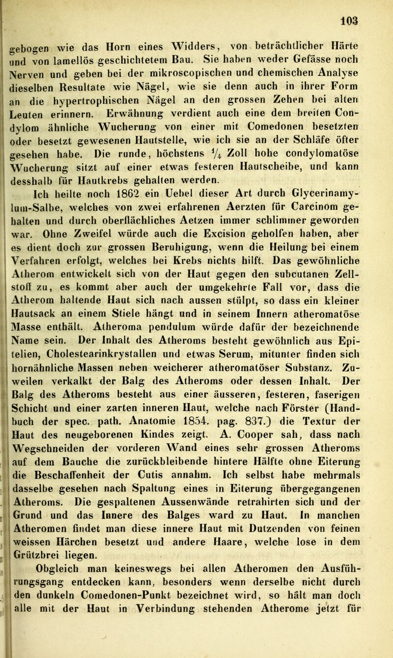 1 gebogen wie das Horn eines Widders, von beträchtlicher Härte i und von lamellös geschichtetem Bau. Sie haben weder Gefässe noch i Nerven und geben bei der mikroscopischen und chemischen Analyse I dieselben Resultate wie Nägel, wie sie denn auch in ihrer Form an die hypertrophischen Nägel an den grossen Zehen bei alten Leuten erinnern. Erwähnung verdient auch eine dem breilen Con- dylom ähnliche Wucherung von einer mit Comedonen besetzten oder besetzt gewesenen Hautstelle, wie ich sie an der Schläfe öfter gesehen habe. Die runde, höchstens Zoll hohe condylomatöse Wucherung sitzt auf einer etwas festeren Hautscheibe, und kann desshalb für Hautkrebs gehalten werden. Ich heilte noch 1862 ein üebel dieser Art durch Glycerinamy- luui-Salbe, welches von zwei erfahrenen Aerzten für Carcinom ge- I halten und durch oberflächliches Aetzen immer schlimmer geworden I war. Ohne Zweifel würde auch die Excision geholfen haben, aber es dient doch zur grossen Beruhigung, wenn die Heilung bei einem Verfahren erfolgt, welches bei Krebs nichts hilft. Das gewöhnliche Atherom entwickelt sich von der Haut gegen den subcutanen Zell- stoff zu, es kommt aber auch der umgekehrte Fall vor, dass die Atherom haltende Haut sich nach aussen stülpt, so dass ein kleiner Hautsack an einem Stiele hängt und in seinem Innern atheromatöse Masse enthält. Atheroma pendulum würde dafür der bezeichnende Name sein. Der Inhalt des Atheroms besteht gewöhnlich aus Epi- telien, Cholestearinkrystallen und etwas Serum, mitunter finden sich hornähnliche Massen neben weicherer atheromatöser Substanz. Zu- weilen verkalkt der Balg des Atheroms oder dessen Inhalt. Der Balg des Atheroms besteht aus einer äusseren, festeren, faserigen Schicht und einer zarten inneren Haut, welche nach Förster (Hand- buch der spec. path. Anatomie 1854. pag. 837.) die Textur der Haut des neugeborenen Kindes zeigt. A. Cooper sah, dass nach . Wegschneiden der vorderen Wand eines sehr grossen Atheroms auf dem Bauche die zurückbleibende hintere Hälfte ohne Eiterung t die Beschaff'enheit der Cutis annahm. Ich selbst habe mehrmals 1 dasselbe gesehen nach Spaltung eines in Eiterung übergegangenen Atheroms. Die gespaltenen Aussenwände retrahirten sich und der Grund und das Innere des Balges ward zu Haut. In manchen Atheromen findet man diese innere Haut mit Dutzenden von feinen j I weissen Härchen besetzt und andere Haare, welche lose in dem I Grützbrei liegen. p I Obgleich man keineswegs bei allen Atheromen den Ausfüh- rungsgang entdecken kann, besonders wenn derselbe nicht durch den dunkeln Comedonen-Punkt bezeichnet wird, so hält man doch alle mit der Haut in Verbindung stehenden Atherome jetzt für